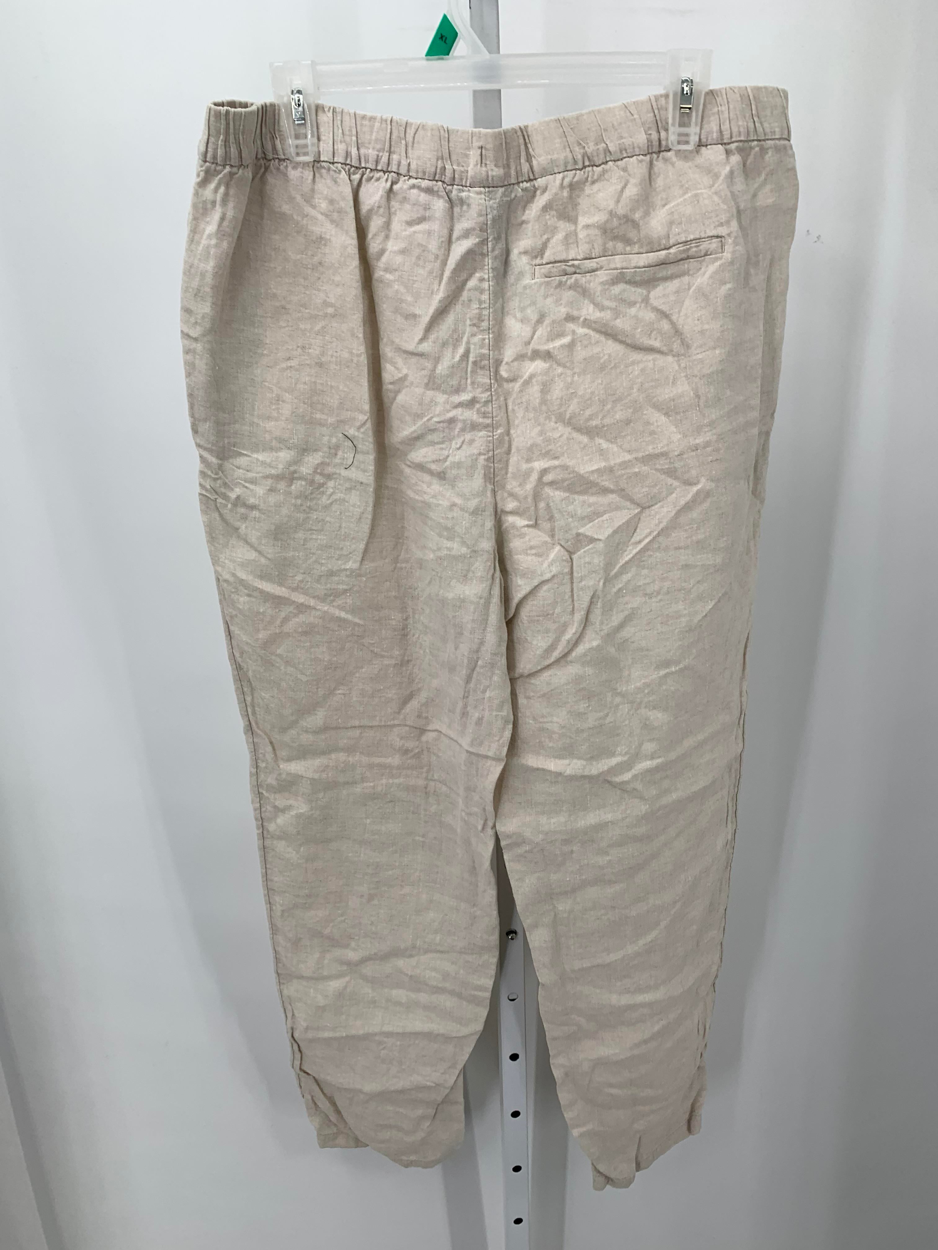 H&M Size Large Misses Pants