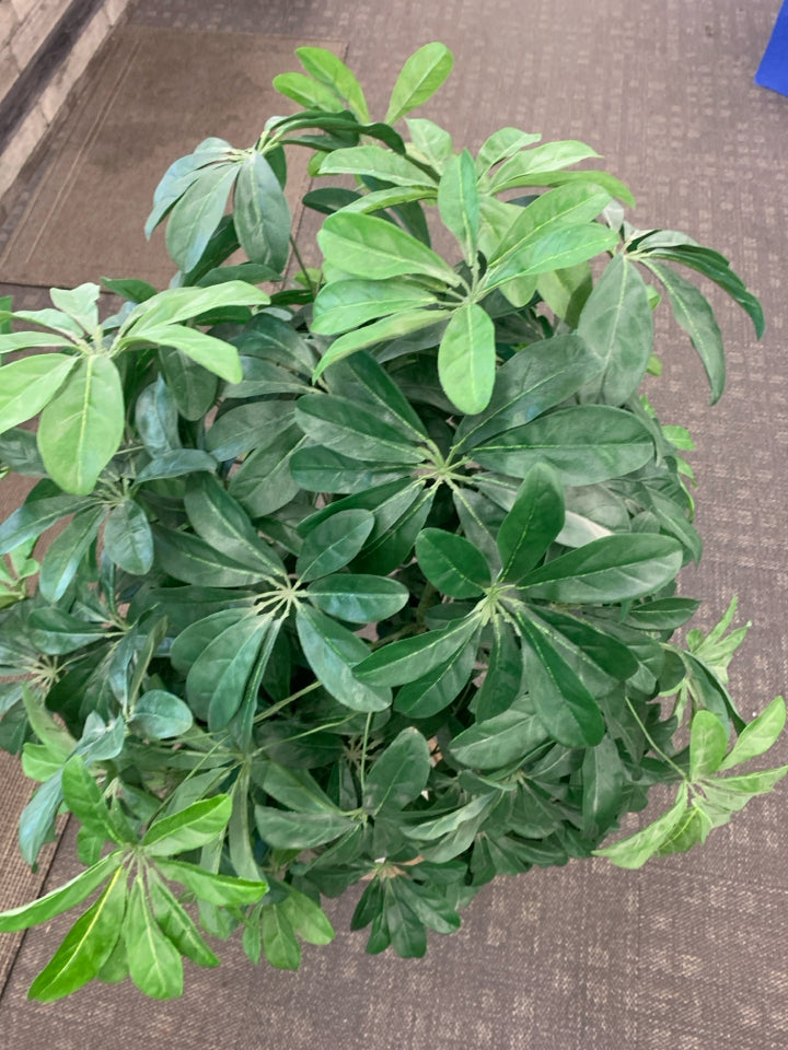 TALL FAUX PLANT IN CEMENT POT.