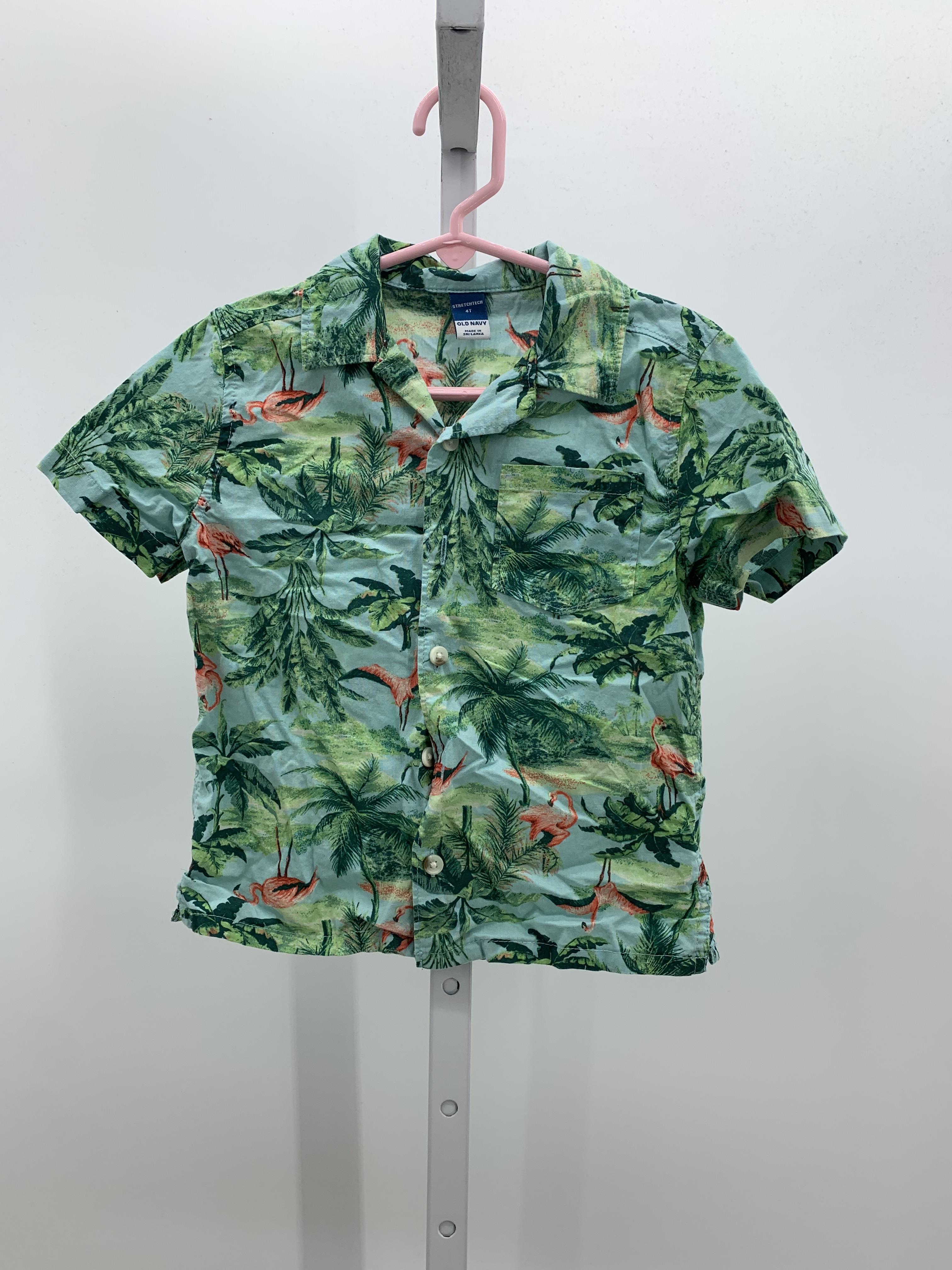TROPICAL FLAMINGOS