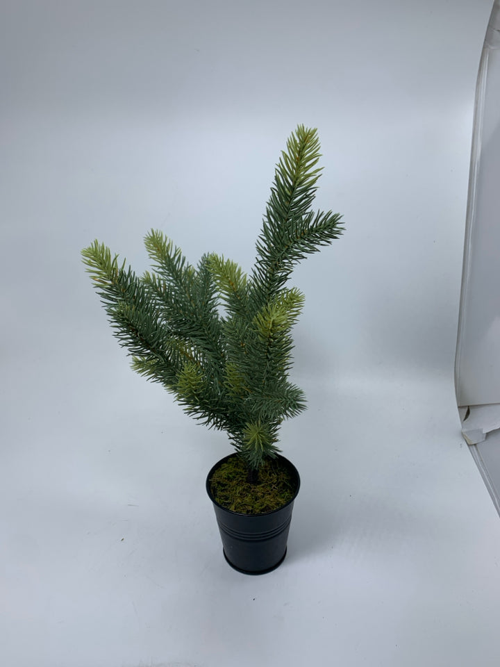 MINI FAUX PINE TREE IN BLACK PLANTER.