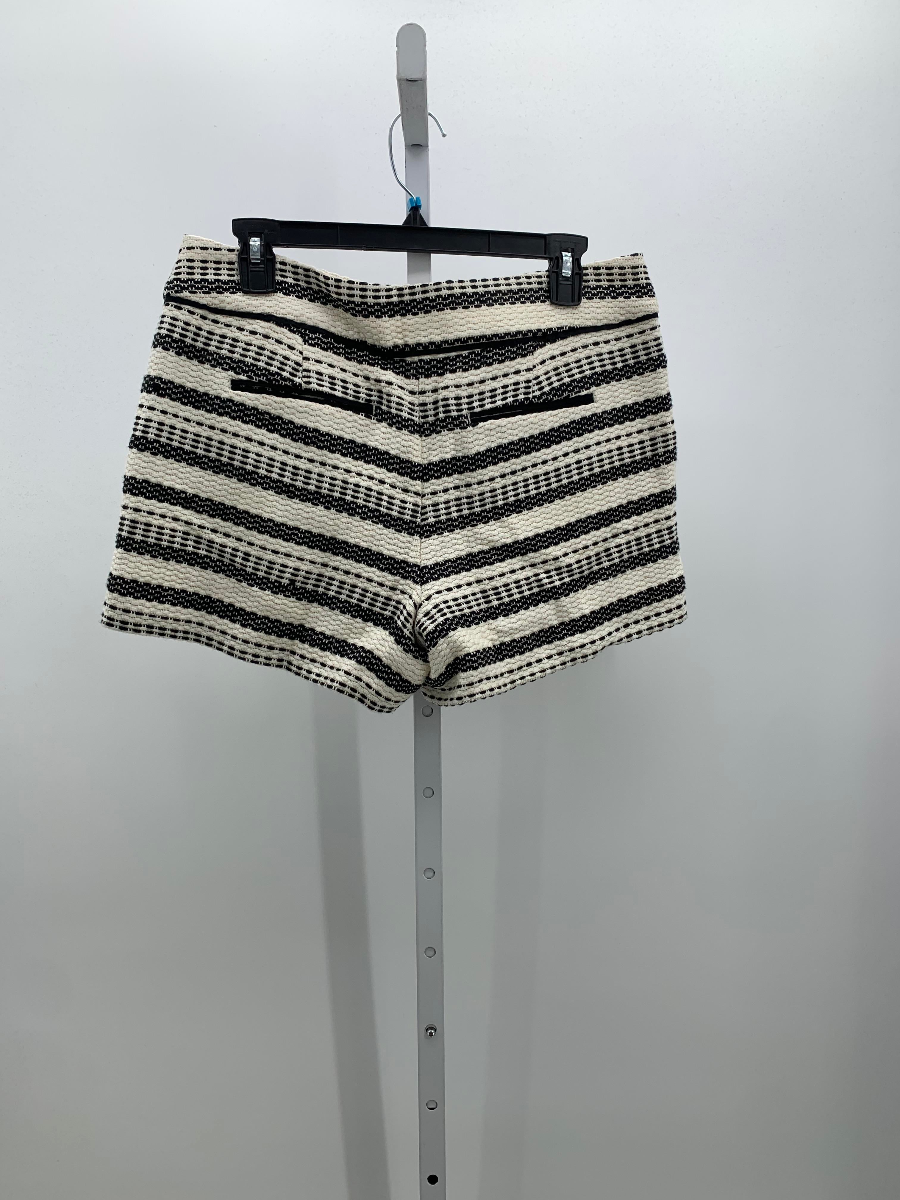 Loft Size 6 Misses Shorts