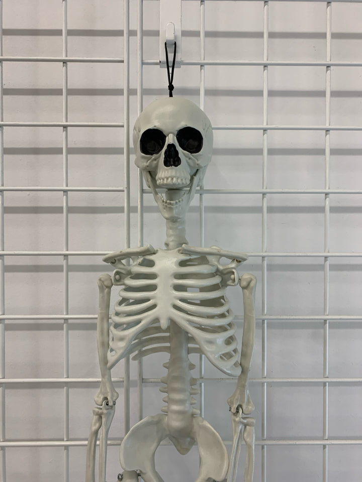 MOVEABLE SKELETON.