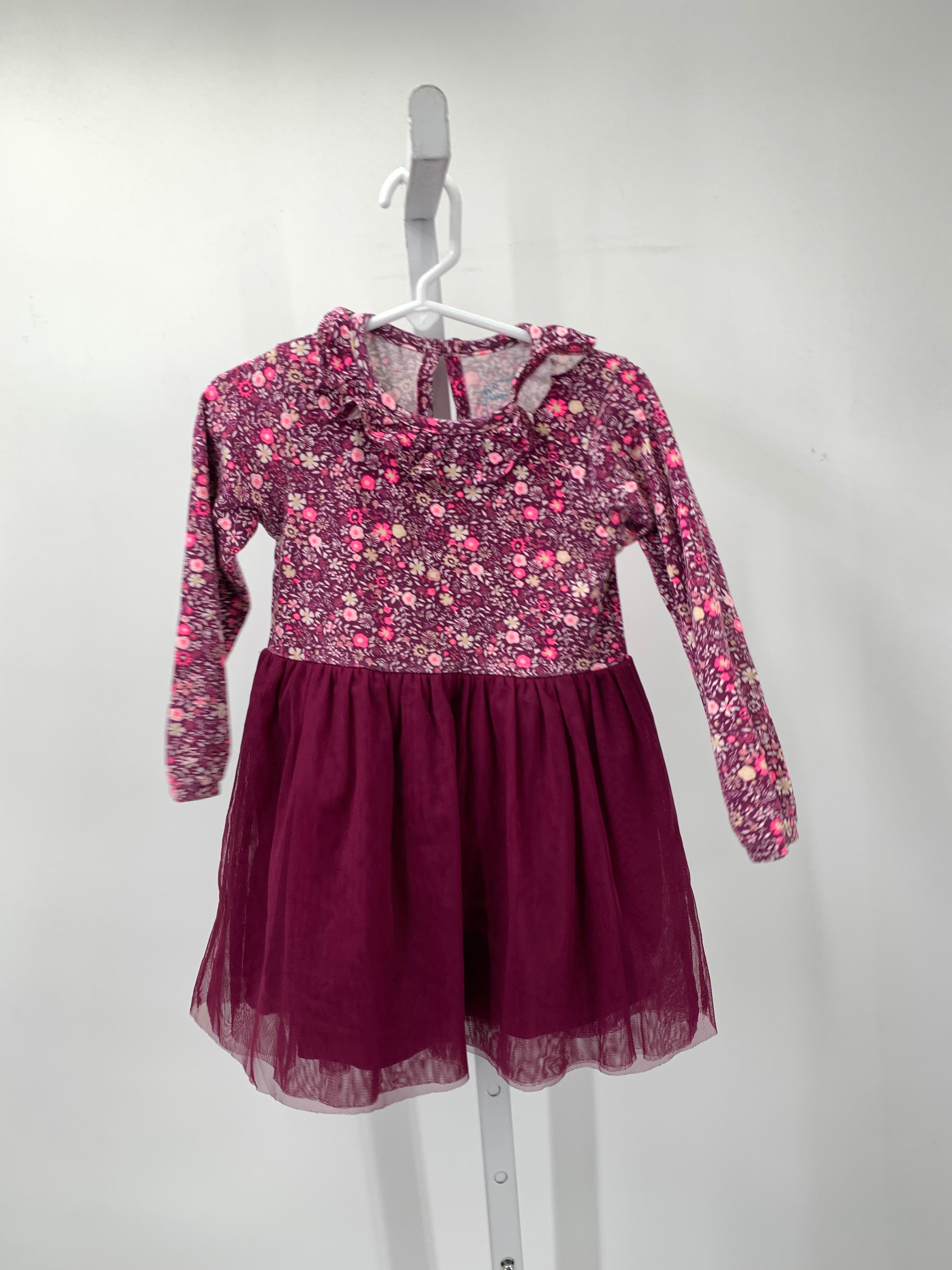 Size 2-3 Girls Long Sleeve Dress