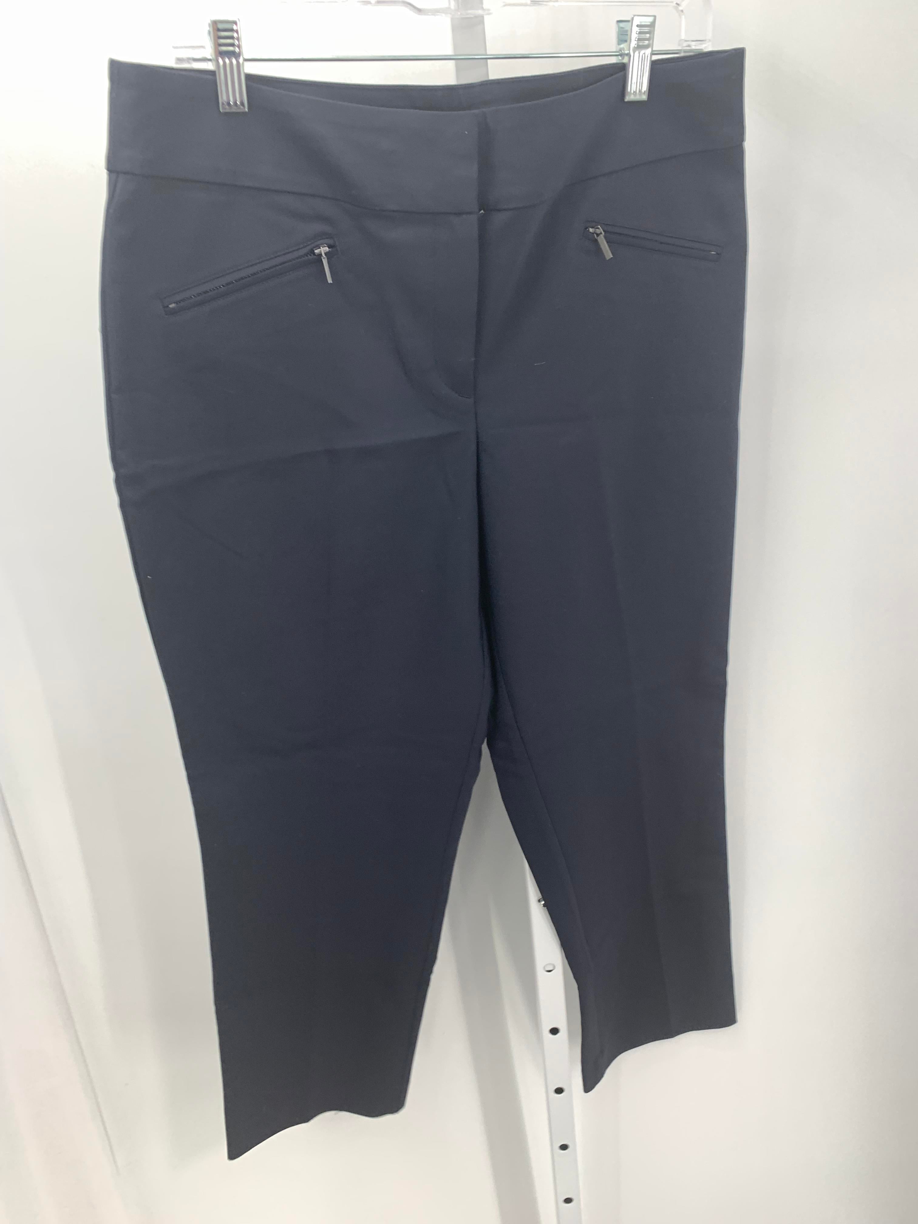 Ann Taylor Size 10 Misses Pants