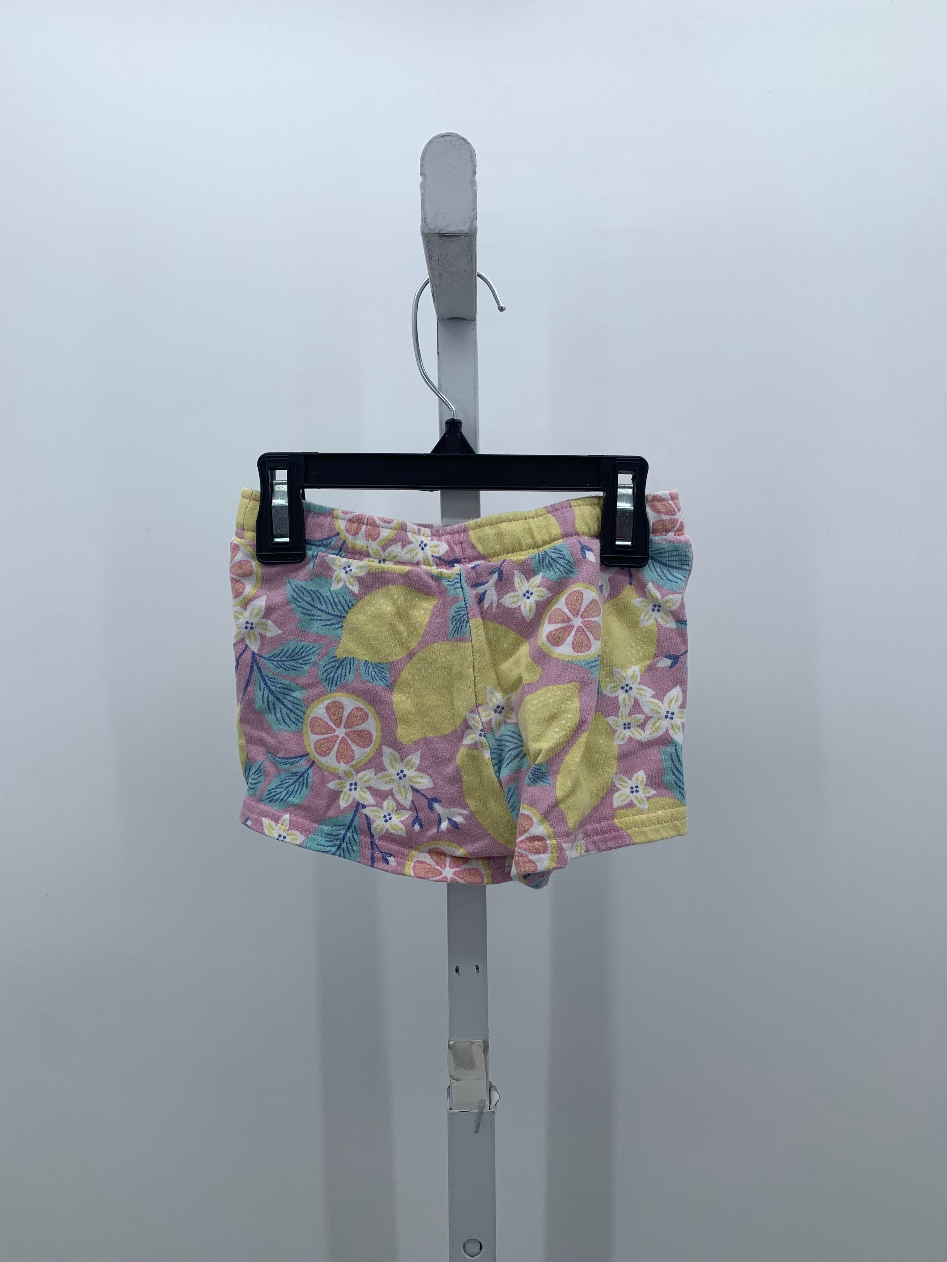 Carters Size 2T Girls Shorts