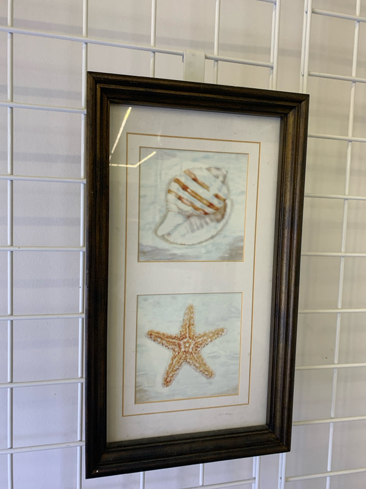 SEASHELL AND STARFISH IN BROWN FRAME WALL ART.