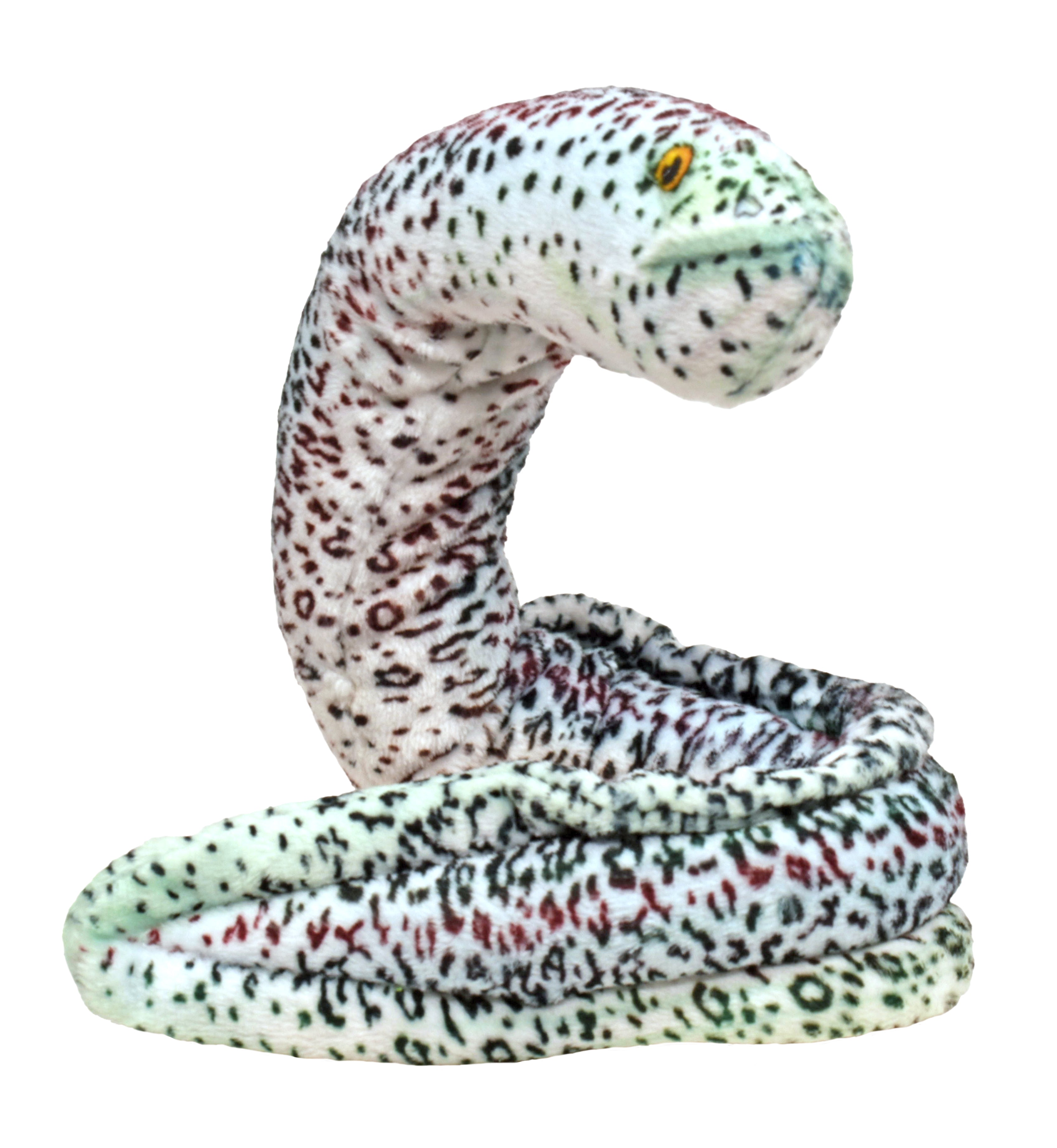 Coilkins Peppered Moray Eel