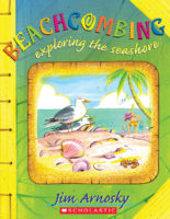 Exploring The Seashore