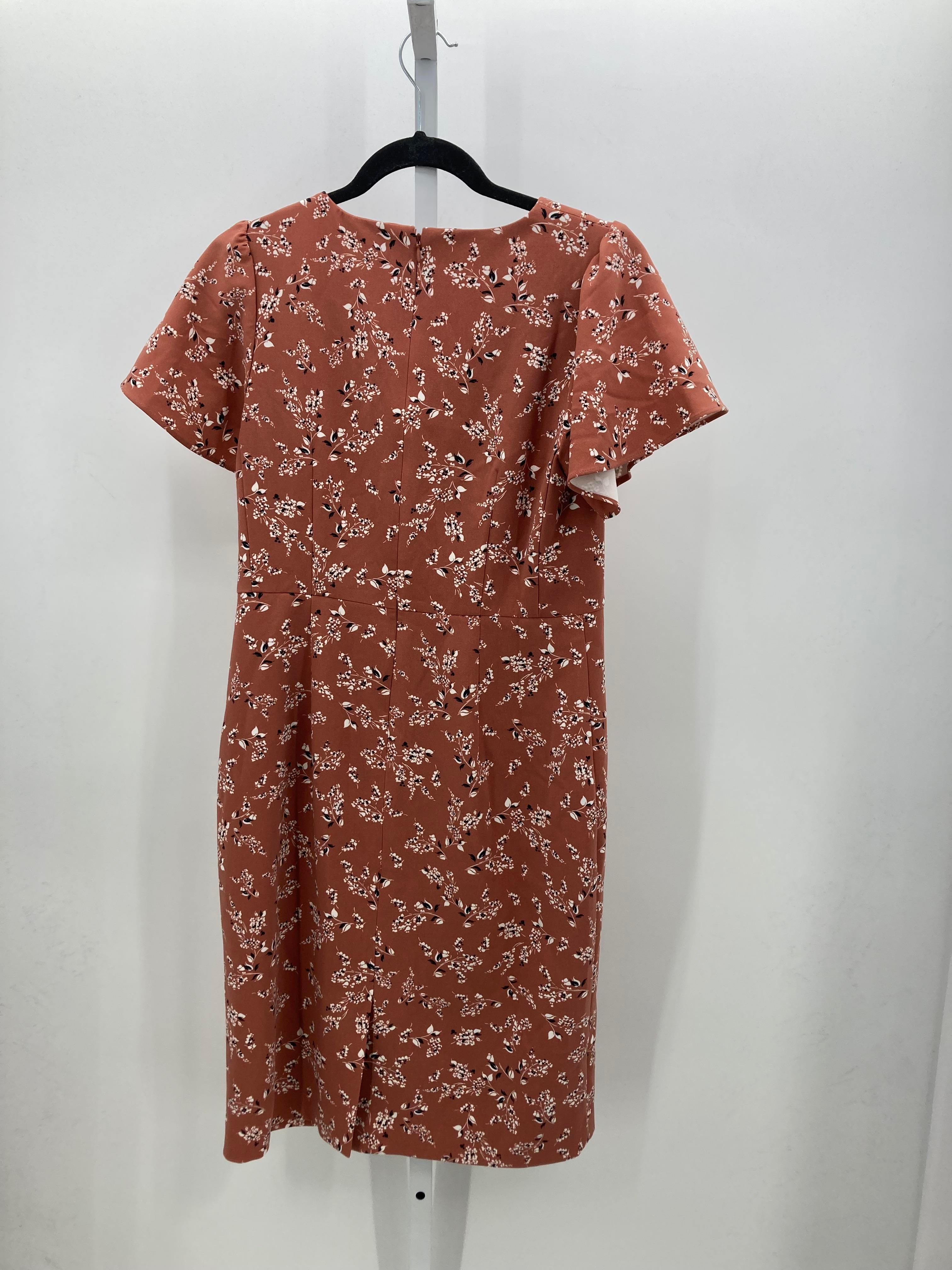 Ann Taylor Size 4 Misses Short Sleeve Dress