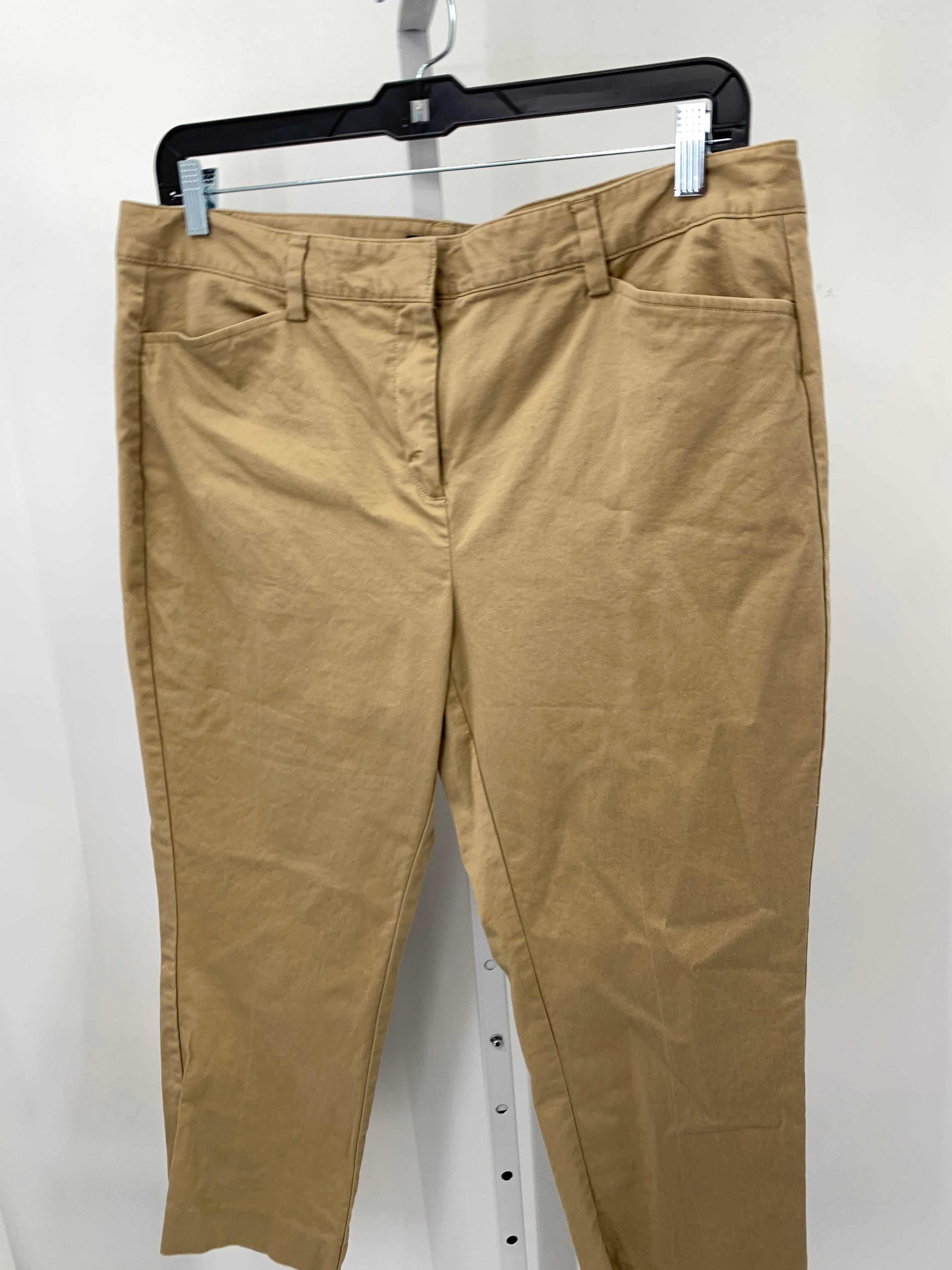 Lands End Size 16 Petite Petite Pants