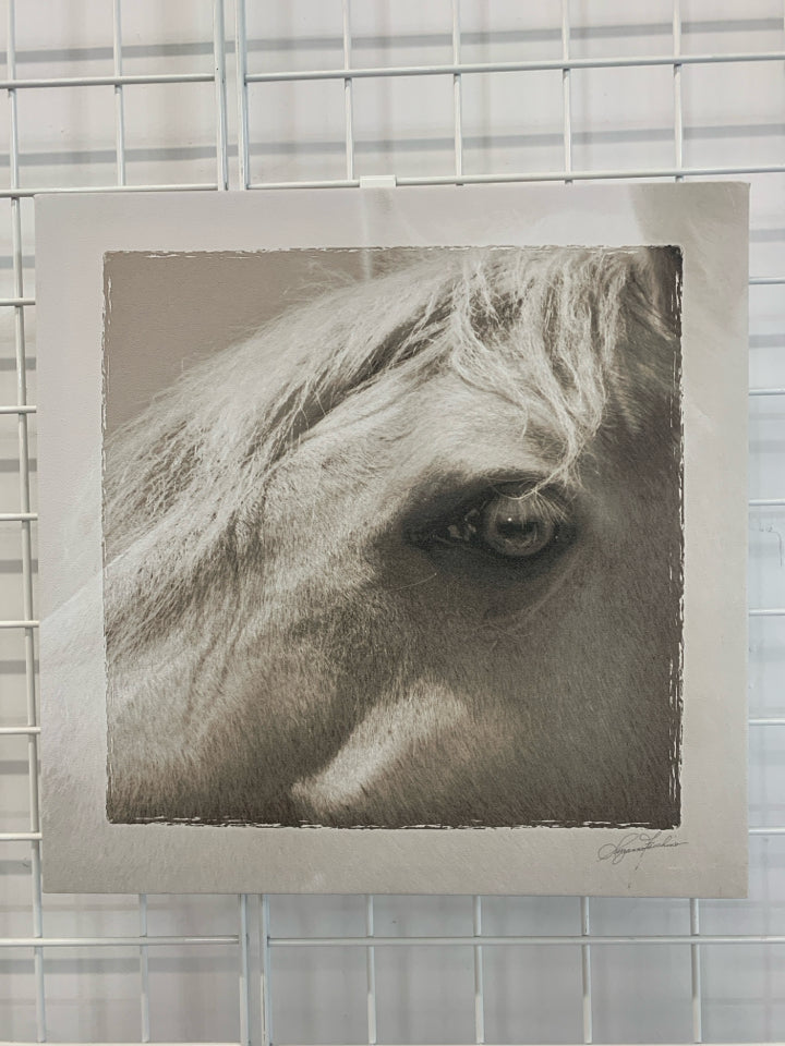 HORSE EYE CLOSE-UP WRAPPED CANVAS.