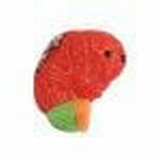 GIANT Microbes ADHD