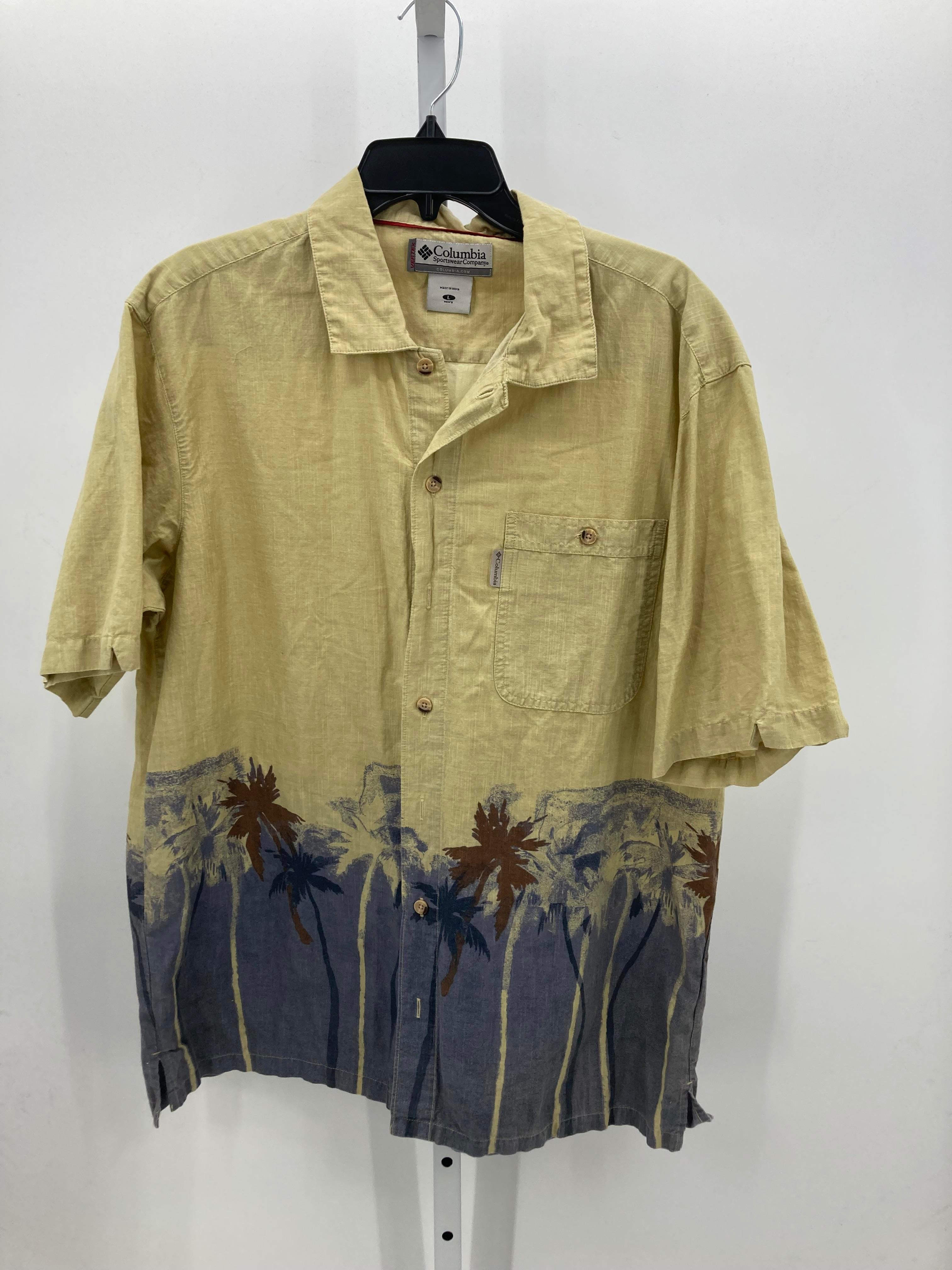 BLUE PALM TREES BTN DOWN