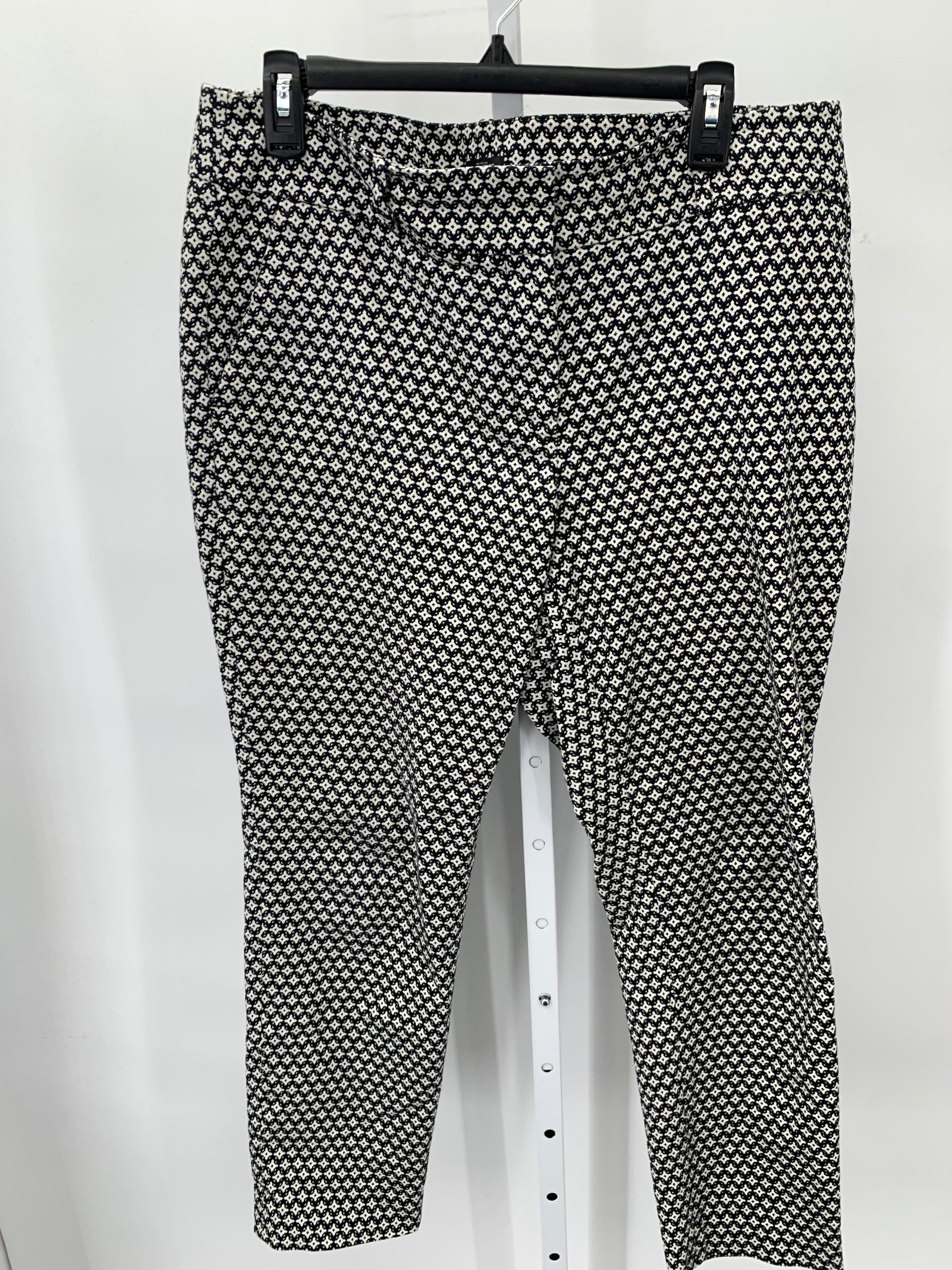 Loft Size 12 Misses Pants