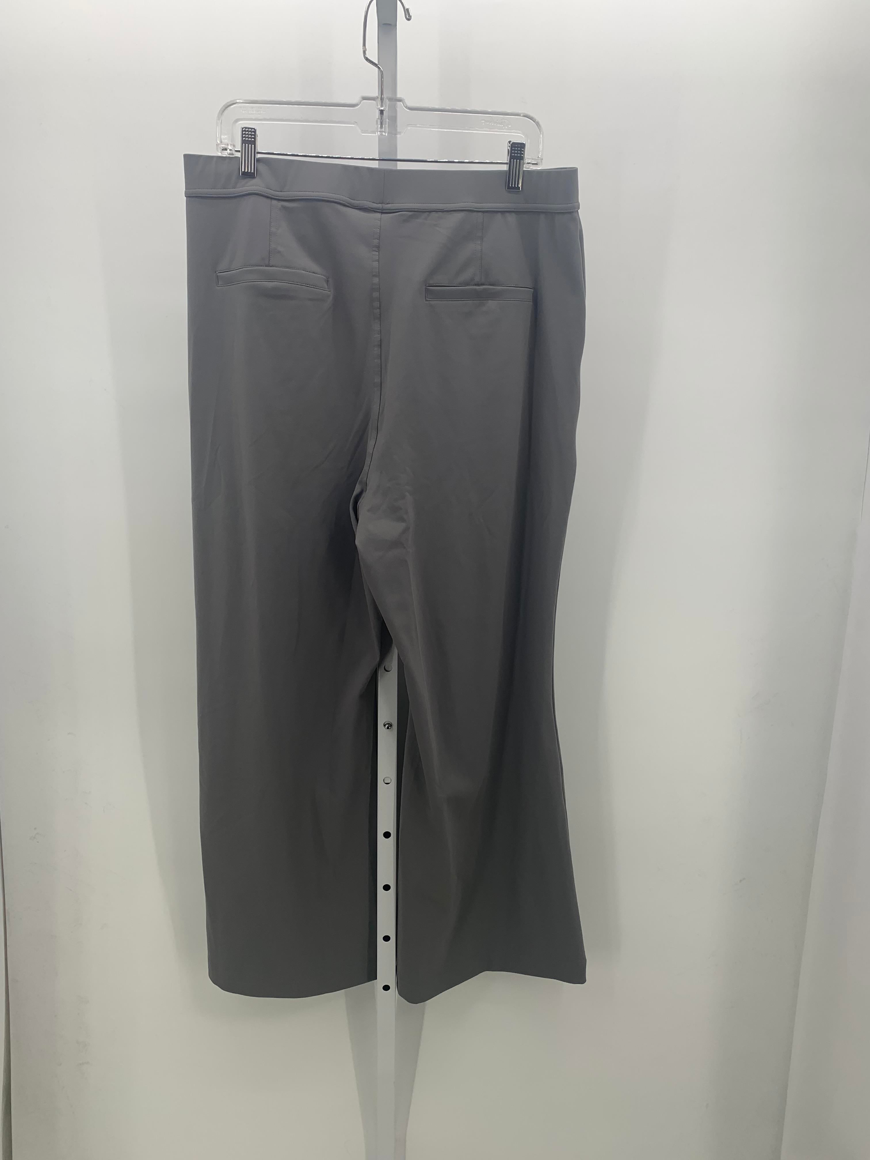 Size X Large Petite Petite Pants