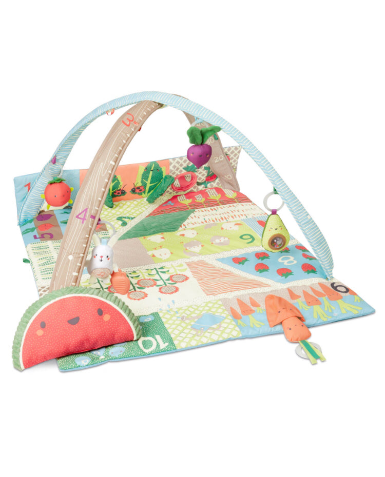 Skip Hop Farmstand Grow & Play Activity Gym