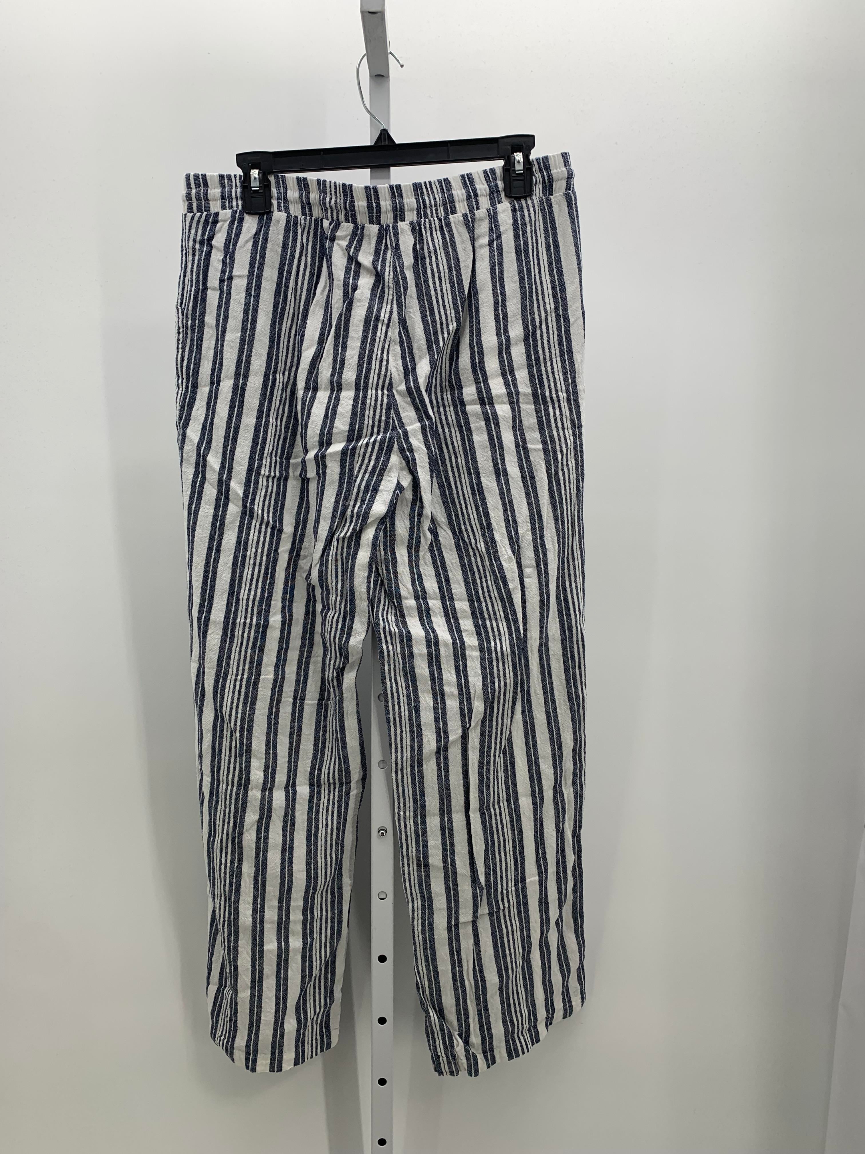 db Size Medium Misses Pants