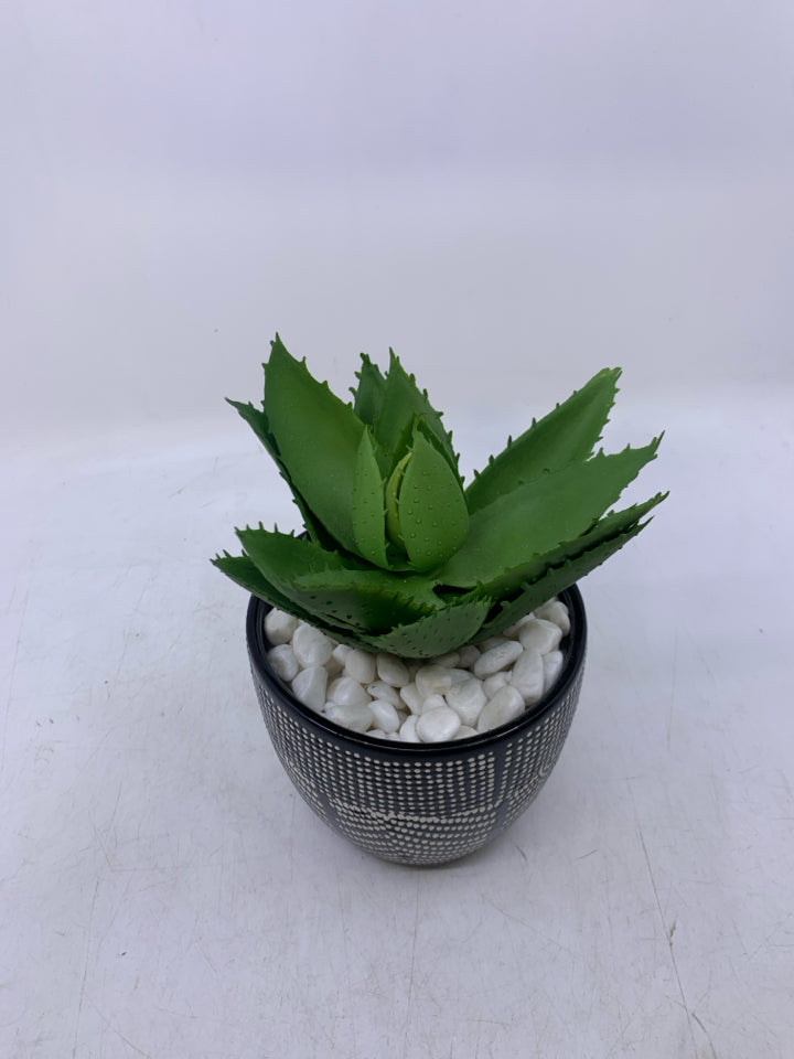 BLACK W/ WHITE DOTS PLANTER WIDE LEAVES WHITE ROCK FILLER.