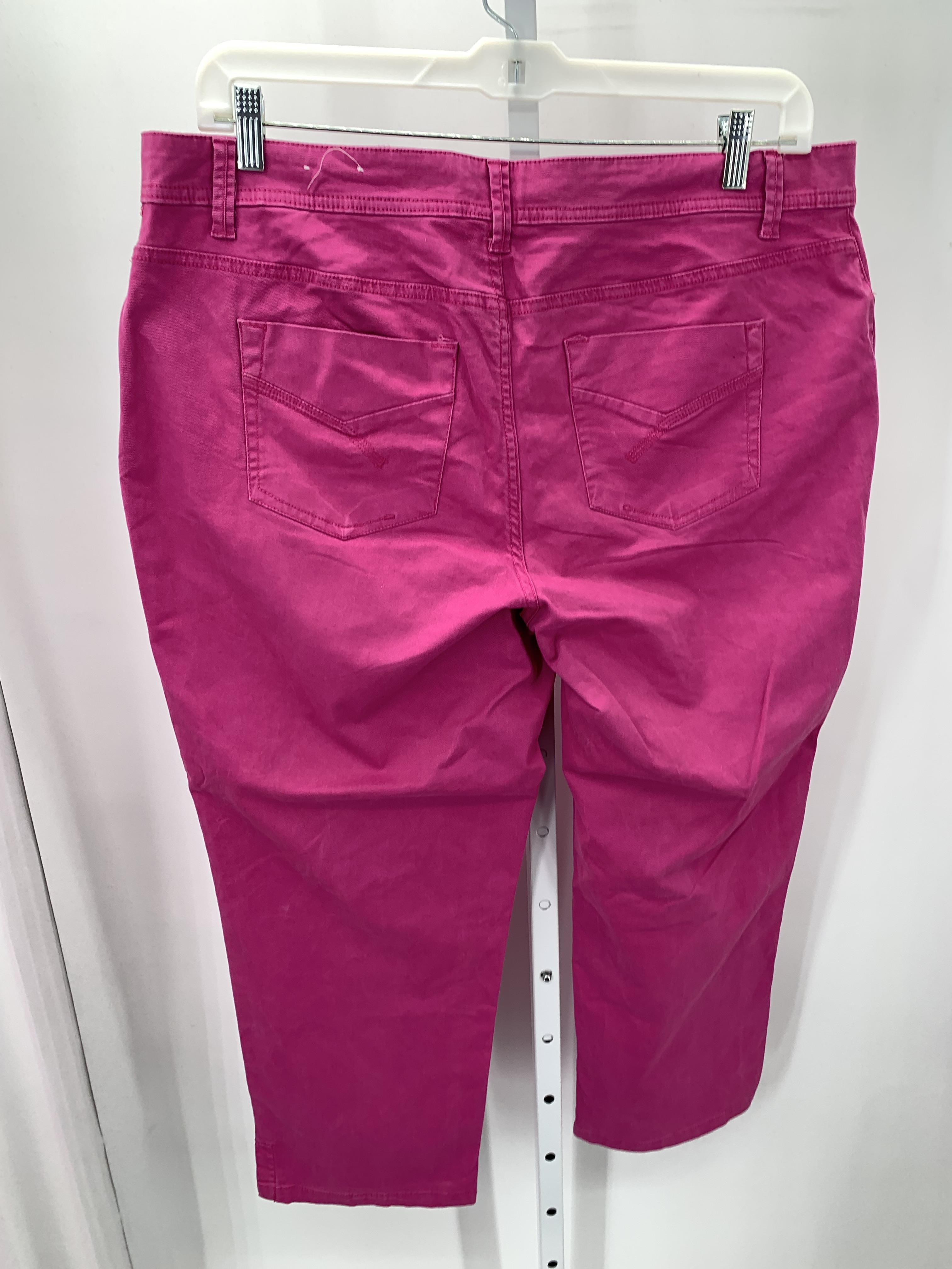 Sonoma Size 16 W Womens Cropped Pants