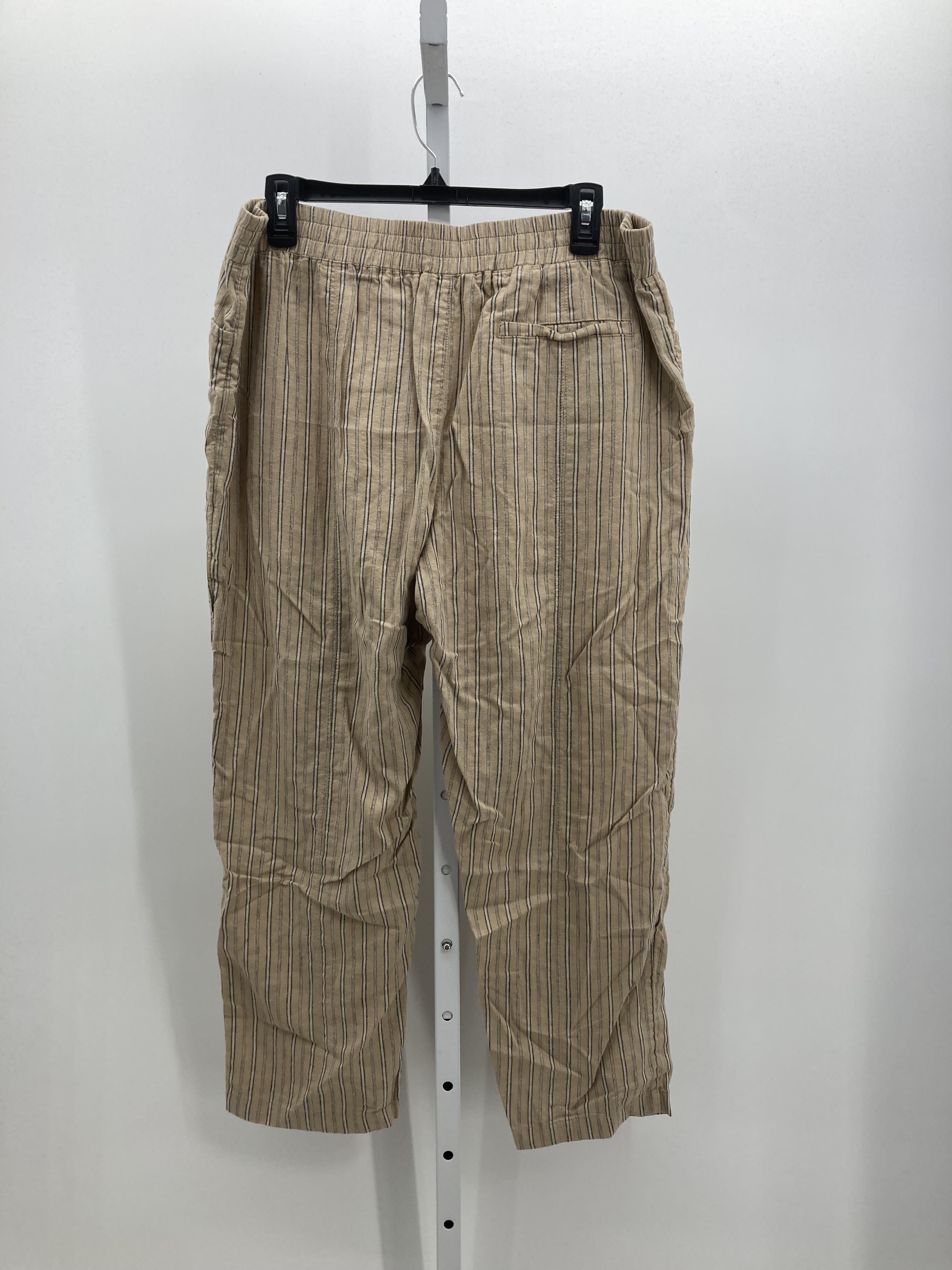 Caslon Size Large Misses Pants