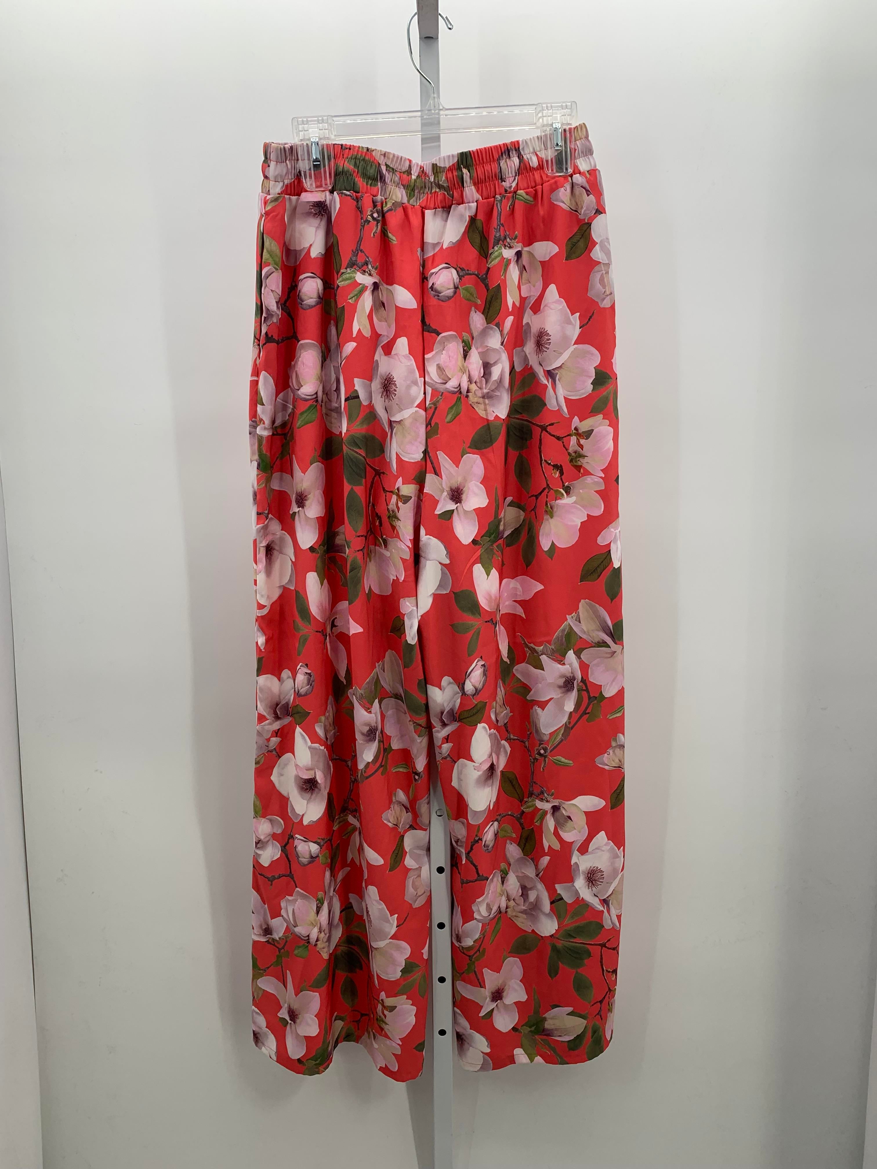 Express Size Medium Misses Pants