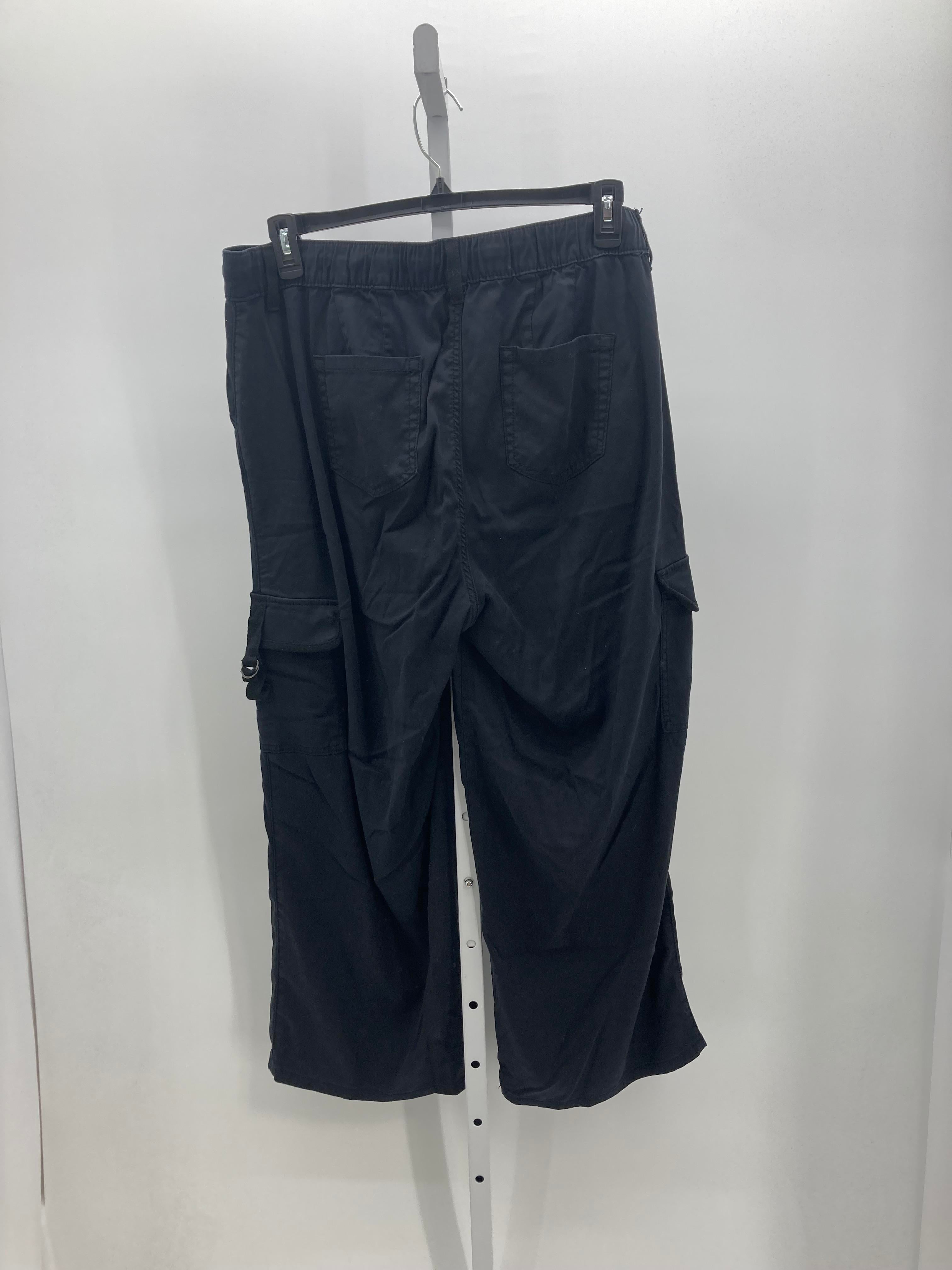 Torrid Size 1X Womens Pants