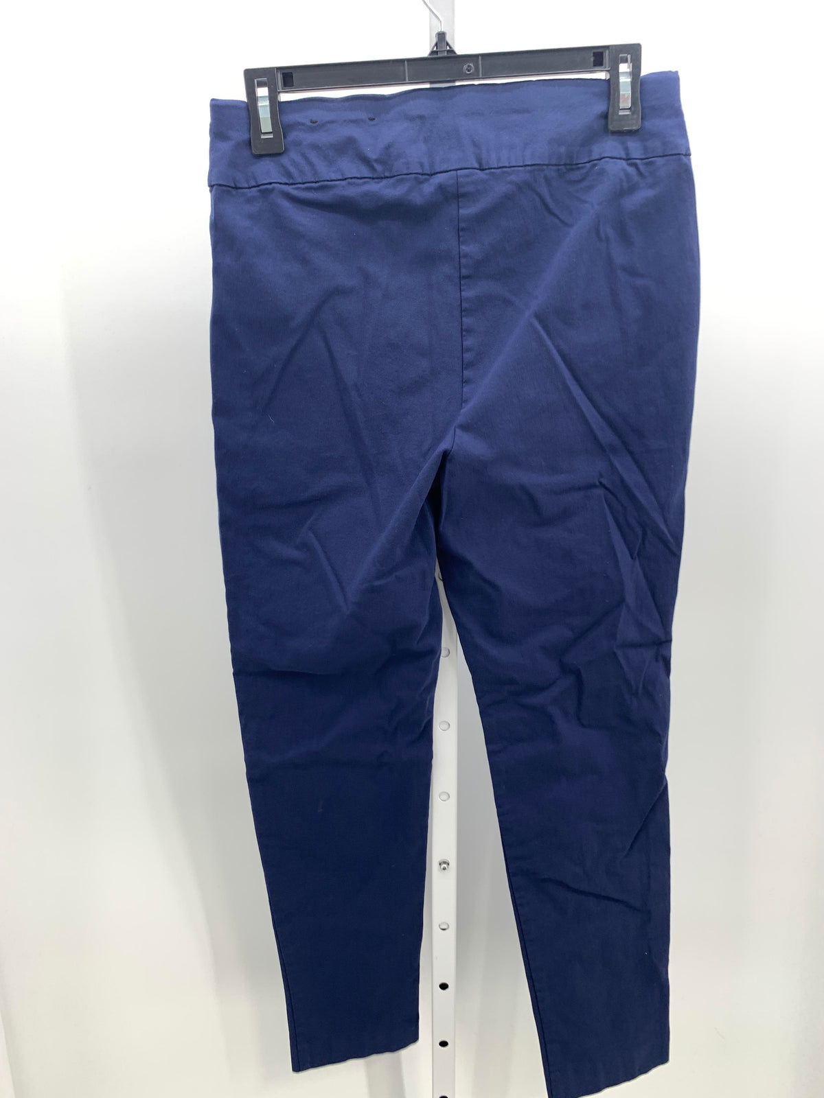 INC Size 6 Misses Pants