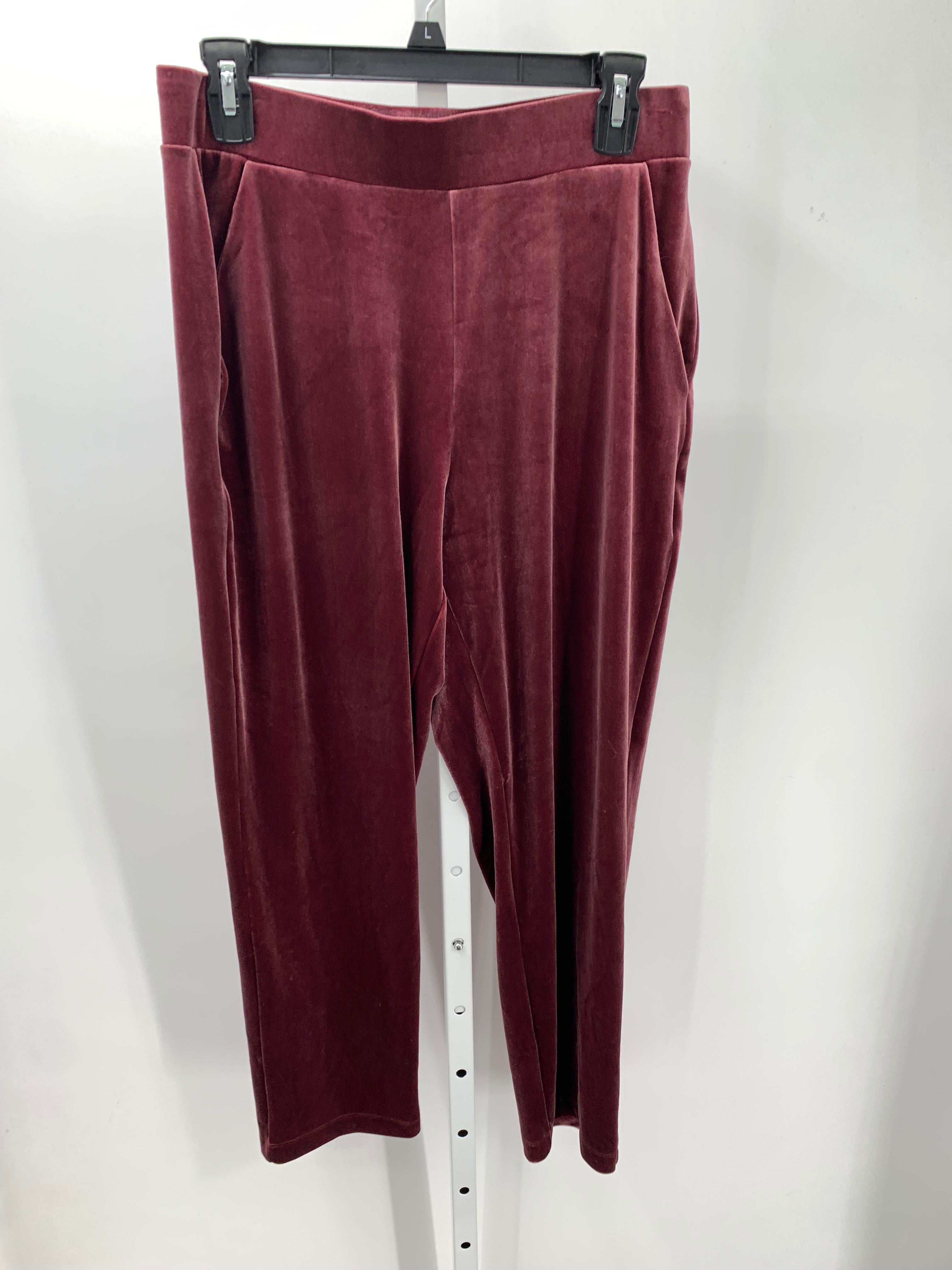 Loft Size Medium Misses Pants