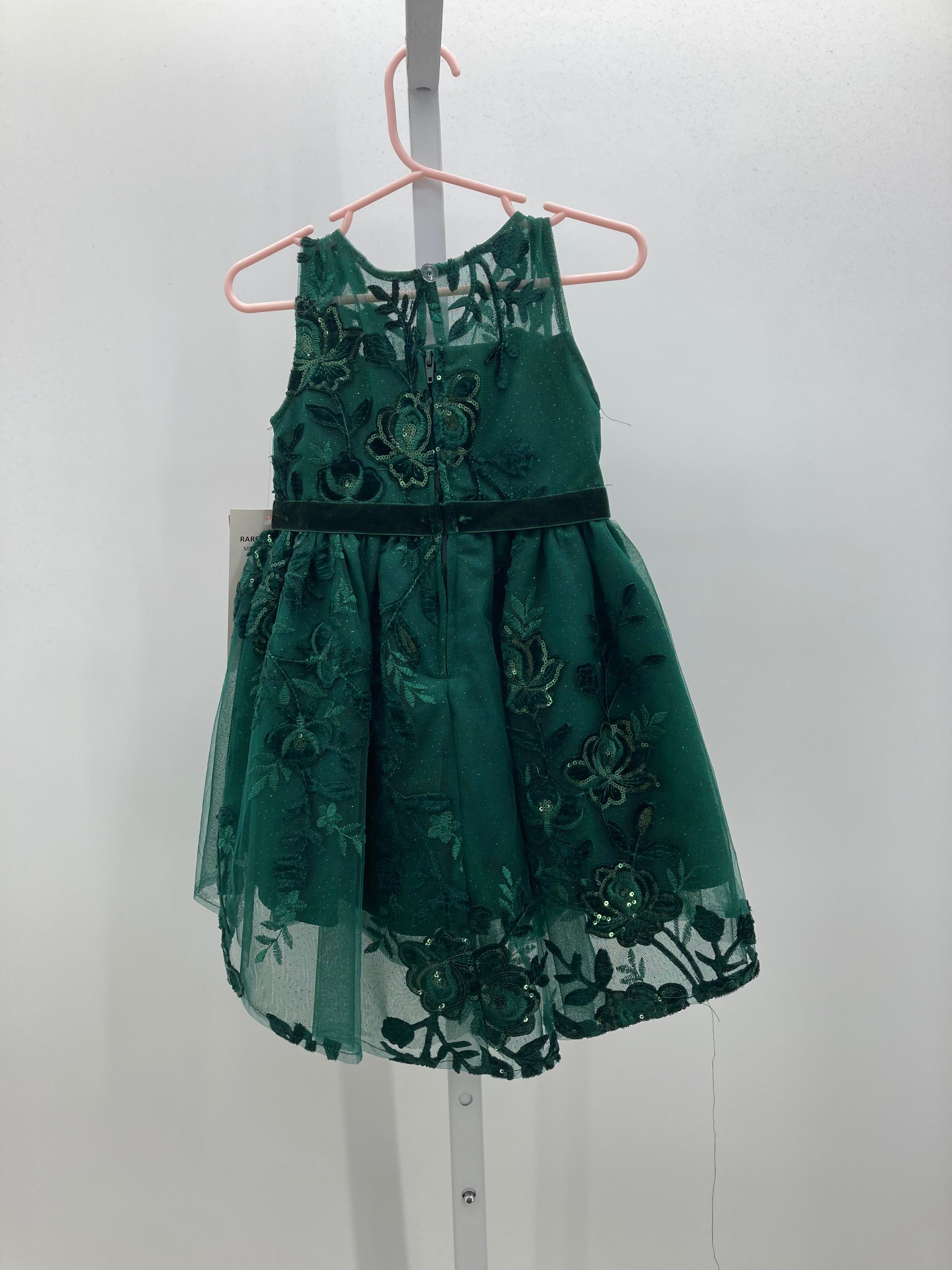 Rare Editions Size 3T Girls Sleeveless Dress