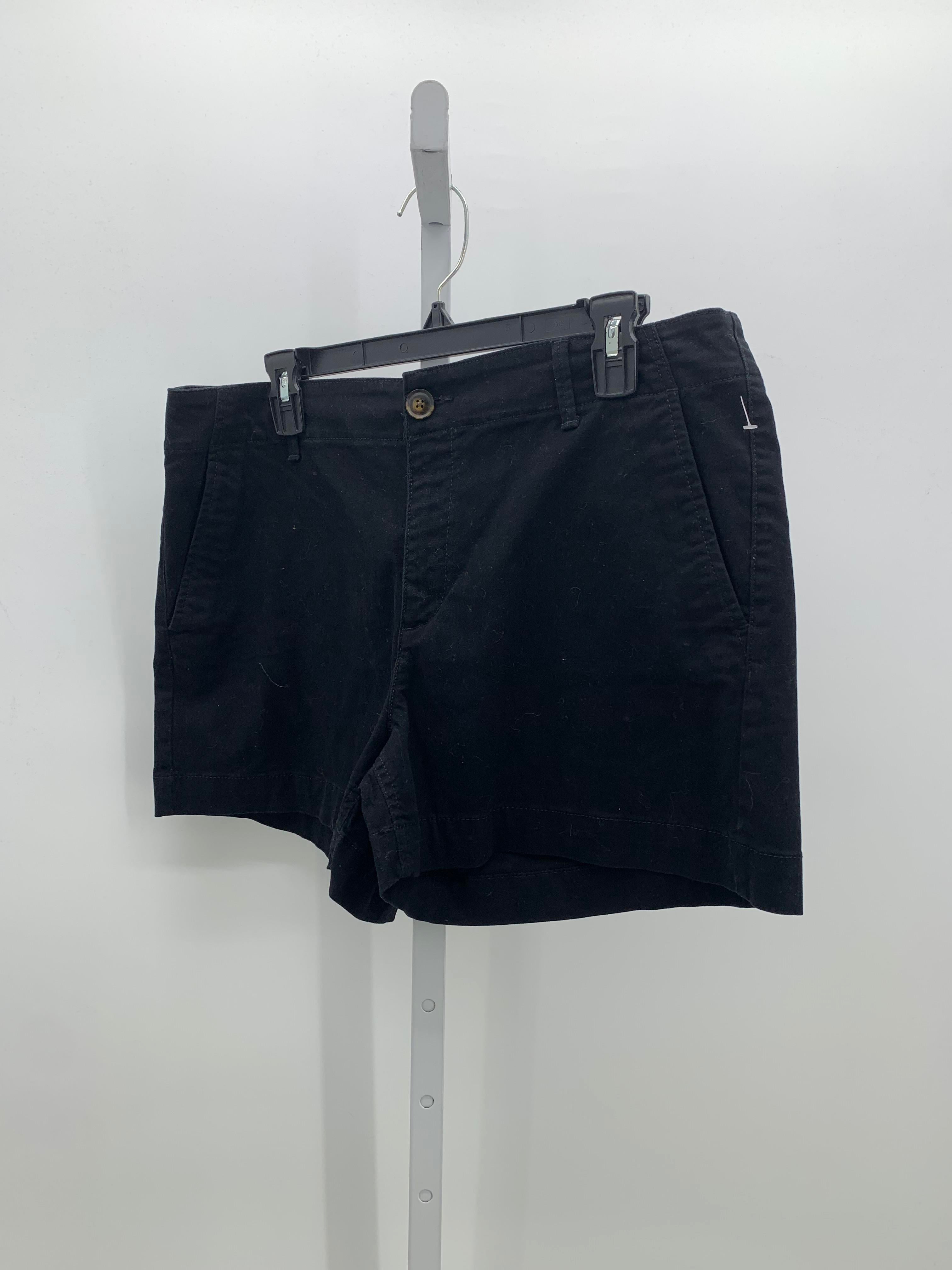 Loft Size 12 Misses Shorts