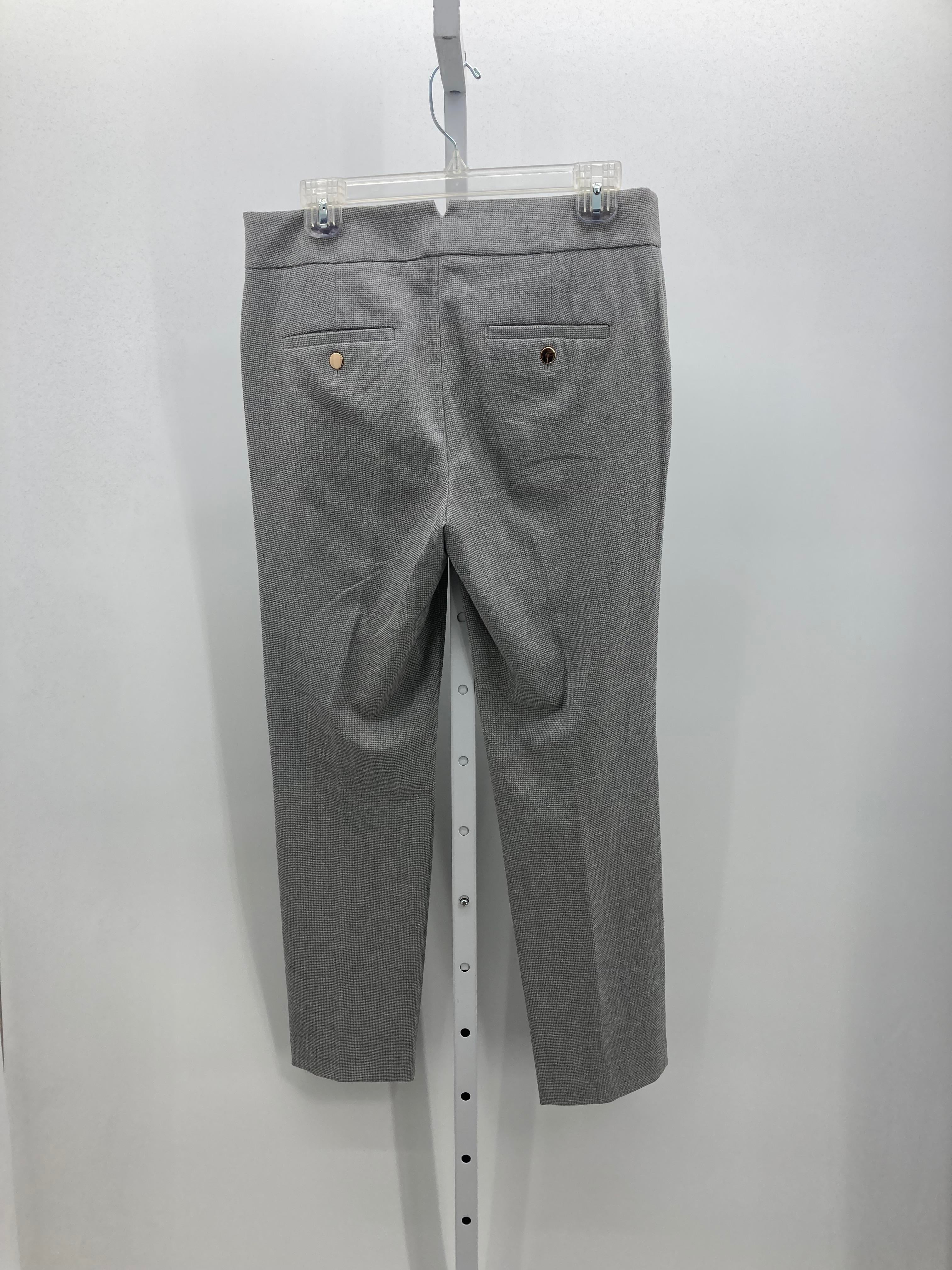 Loft Size 4 Misses Pants