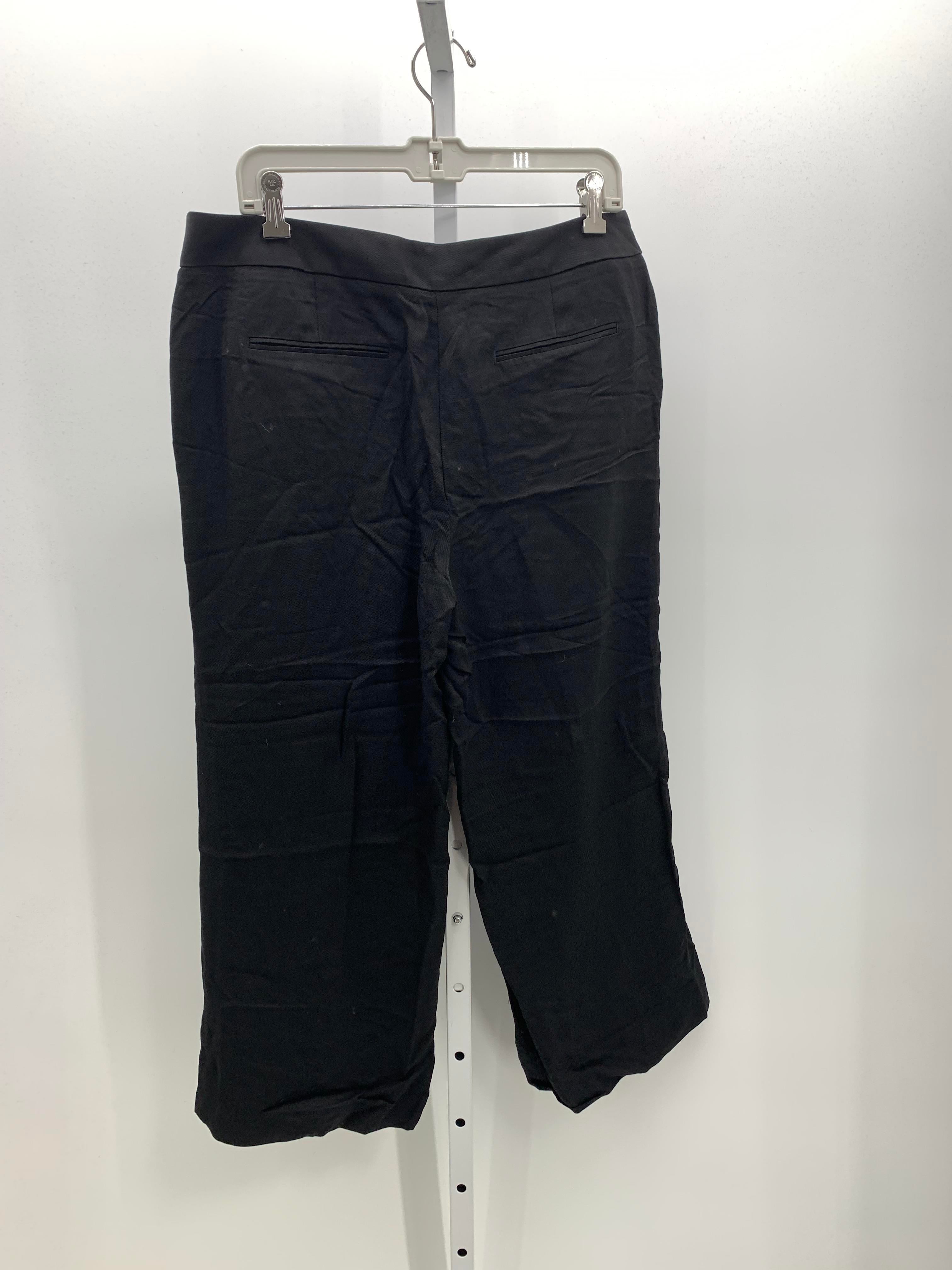 Loft Size 10 Misses Pants