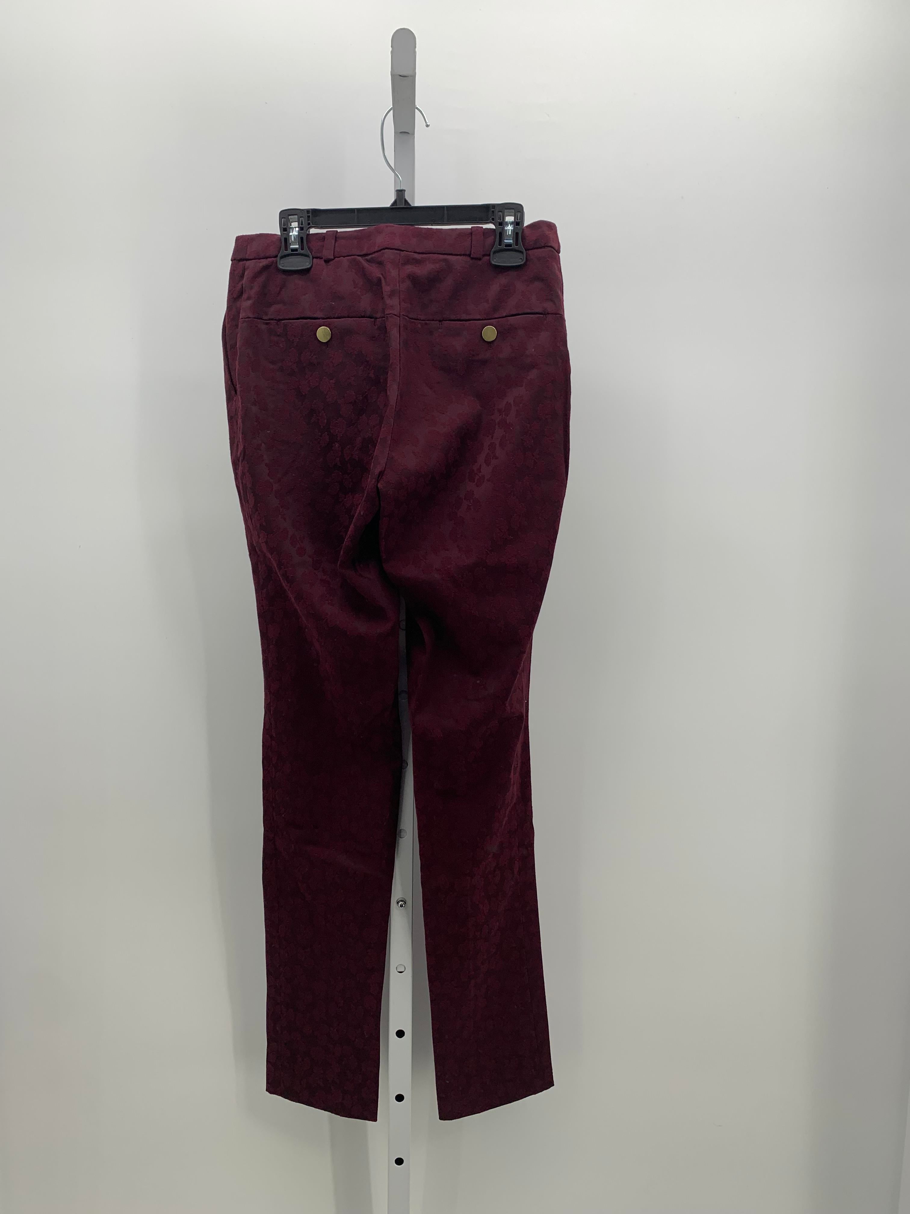H&M Size 2 Misses Pants