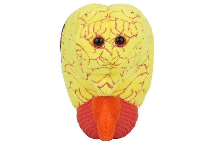 GIANT Microbes Anxiety