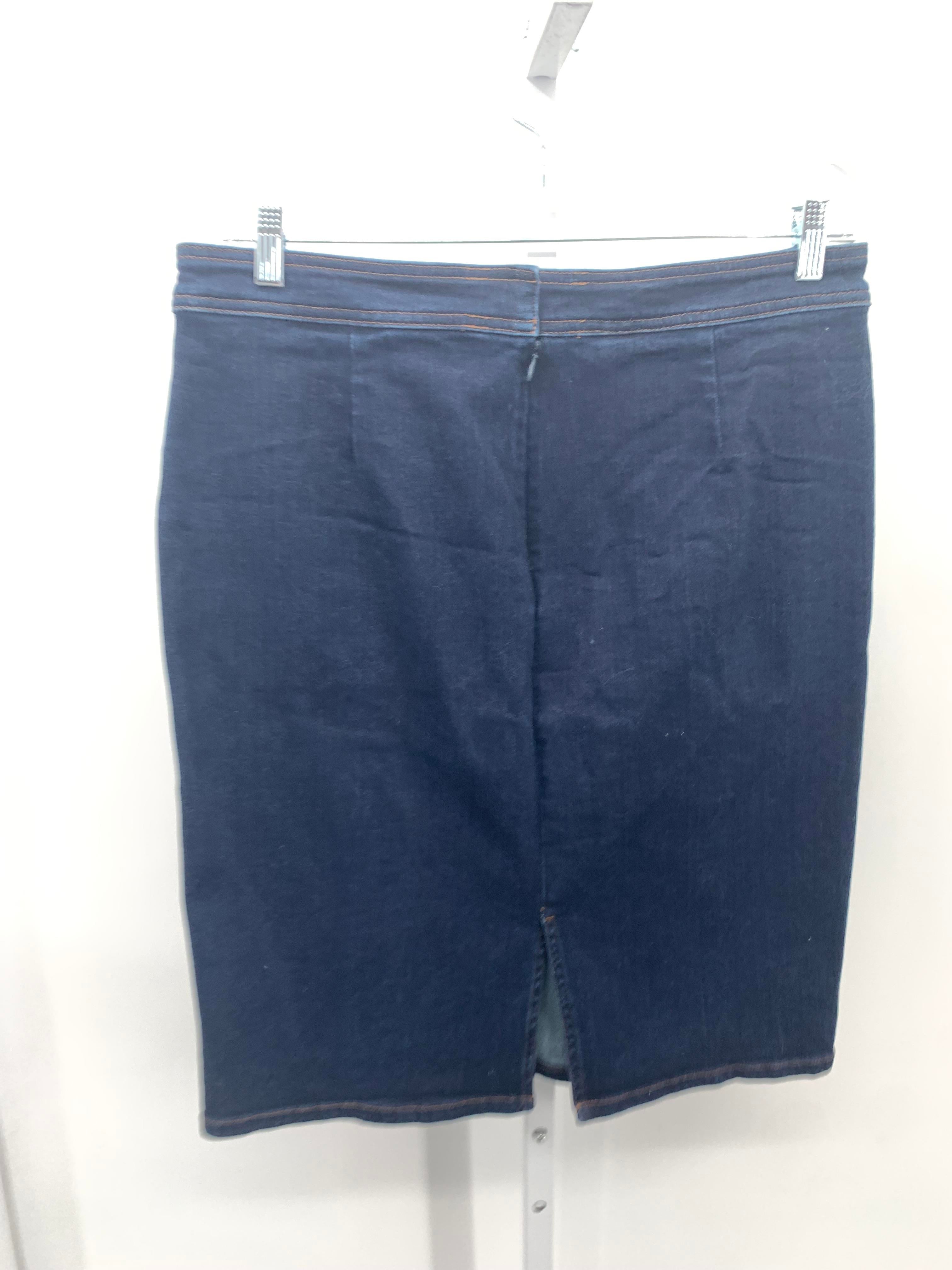Lands End Size 14 Misses Skirt
