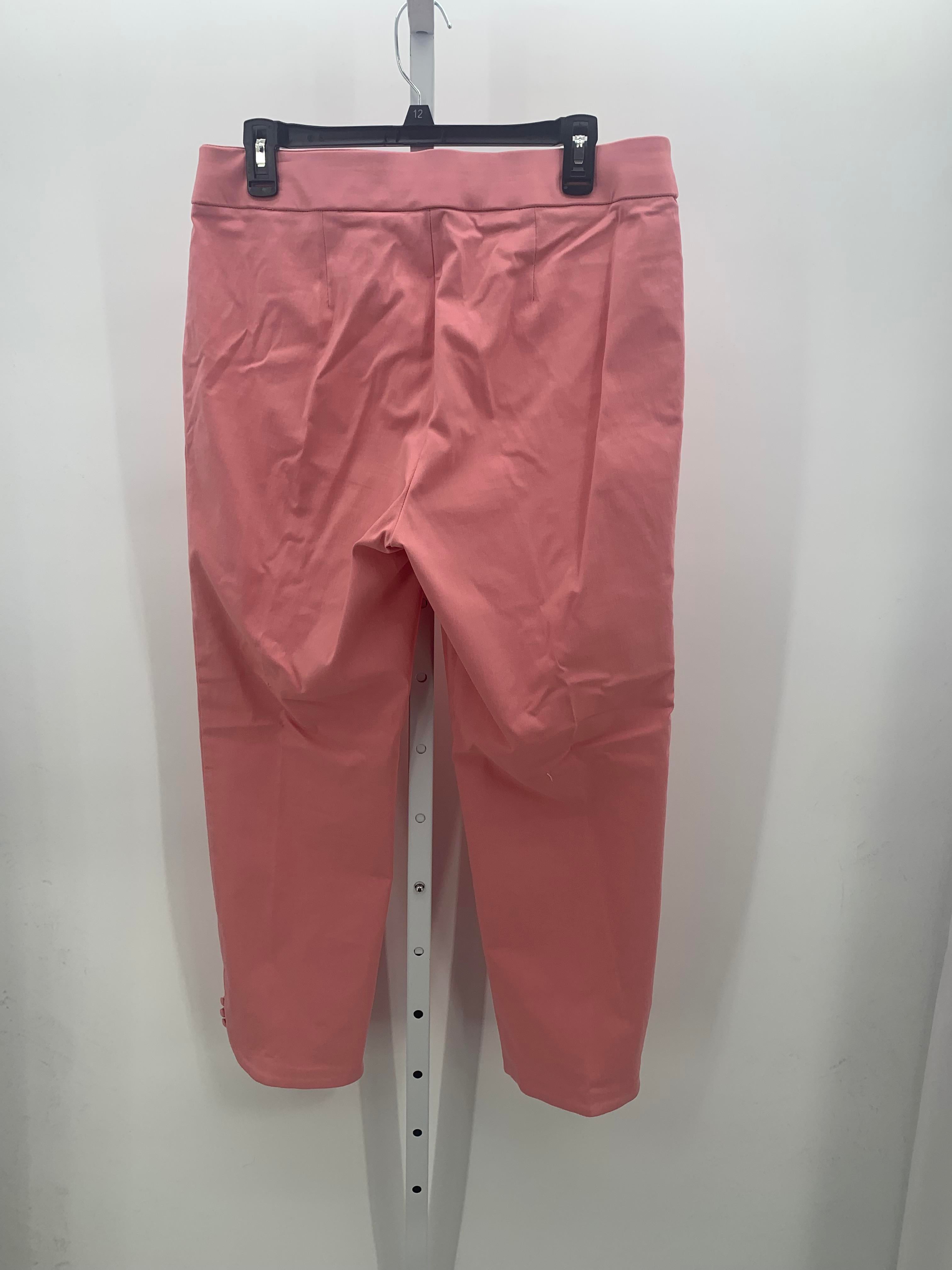 Size 12 Misses Pants