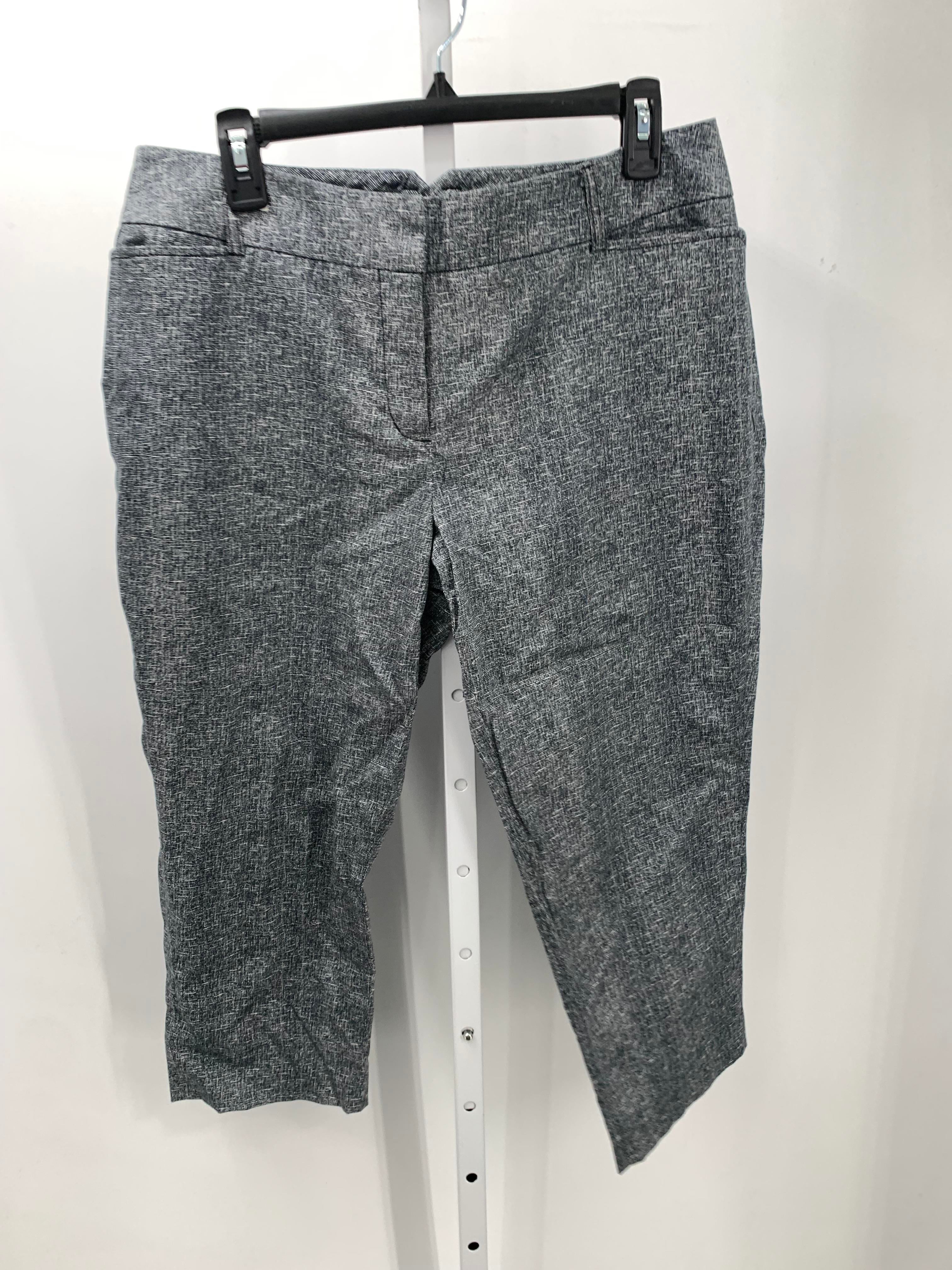 Express Size 12 Misses Capri Pants