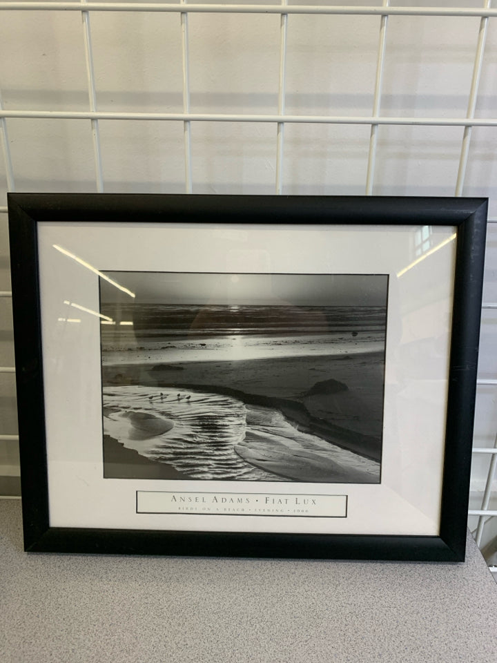 ANSEL ADAMS BIRDS ON A BEACH PHOTO IN BLACK FRAME.