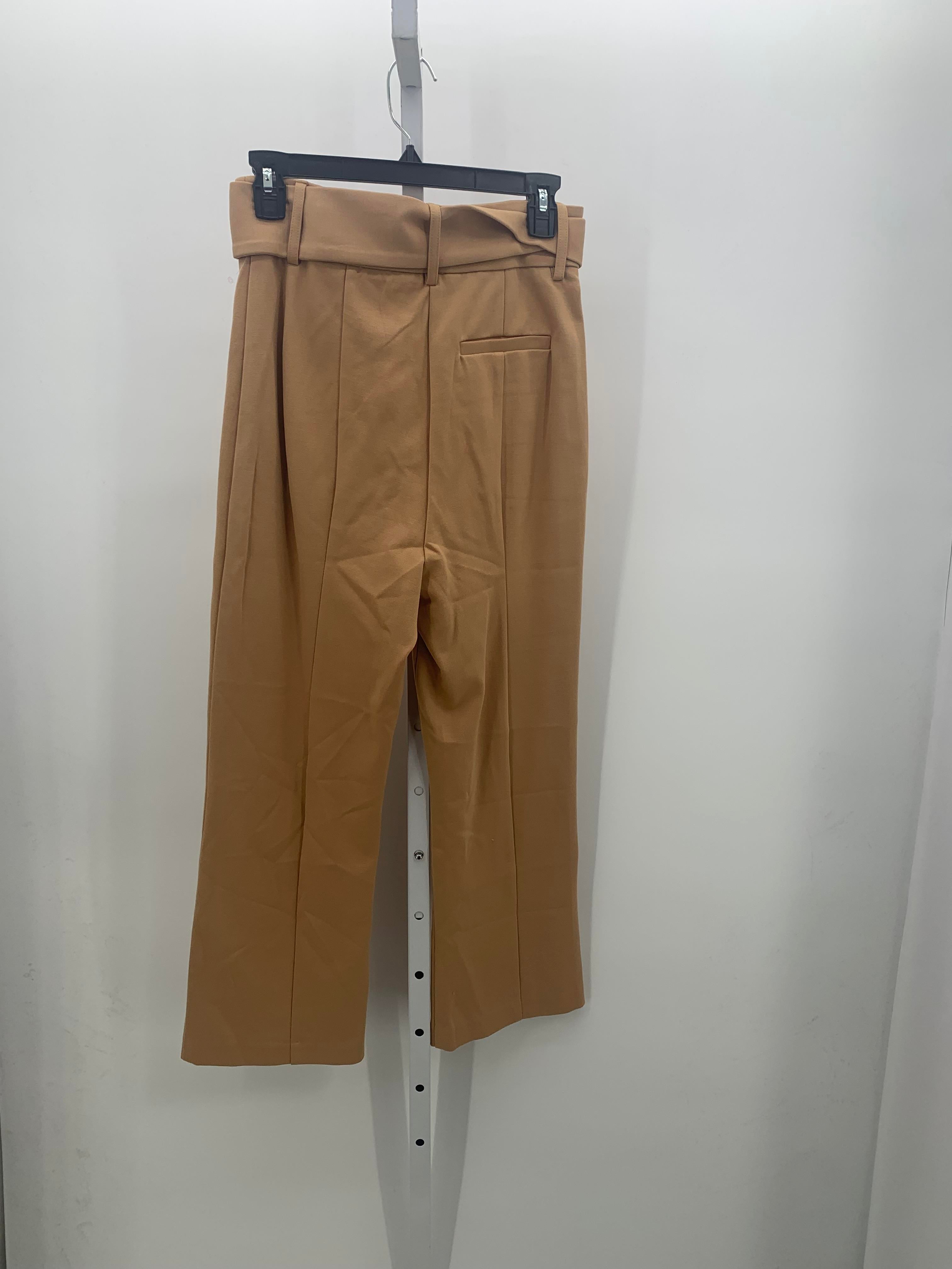 Size 6 Misses Pants