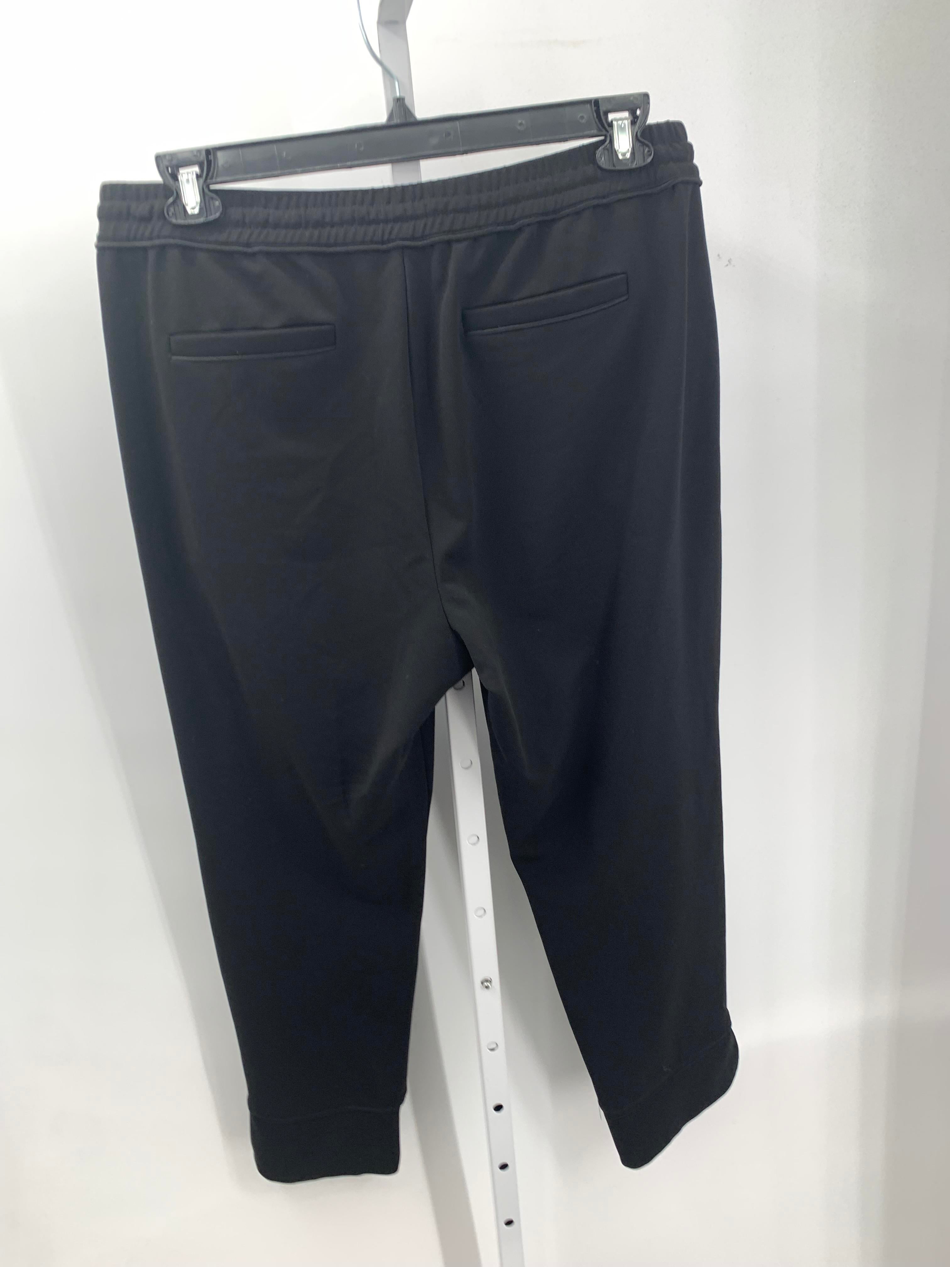 Size 16 Misses Pants