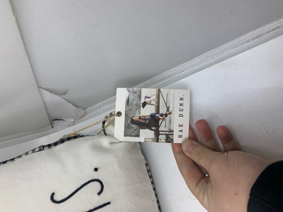 NEW HOME FOR THE HOLIDAYS RAE DUNN PILLOW W/ RED BEETLE.