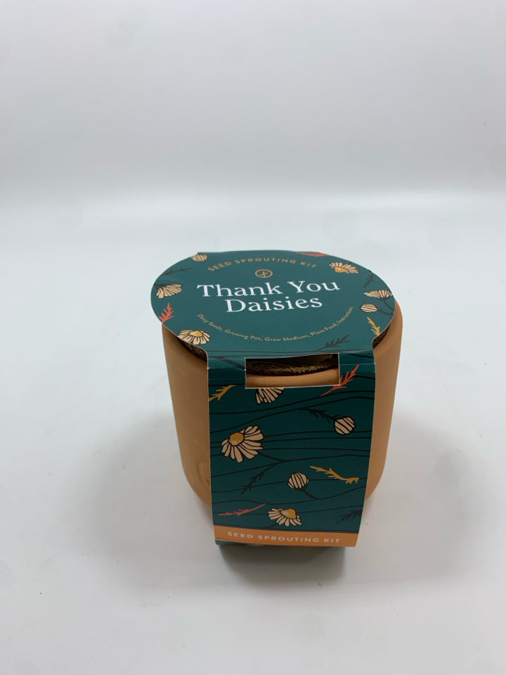 NIP DAISY SEED SPROUTING KIT.