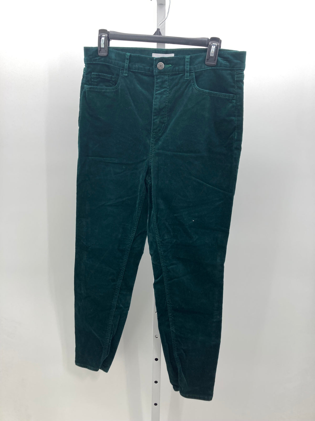 Loft Size 12 Petite Petite Pants