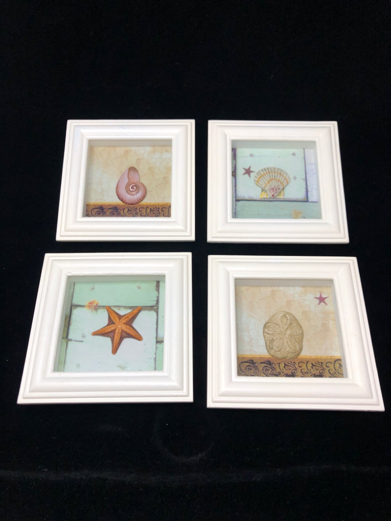 4 SEASHELLS IN SHADOWBOX FRAMES.