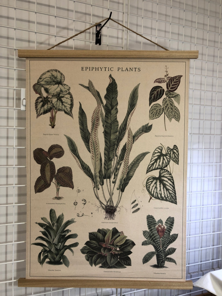 EPIPHYTIC PLANTS CANVAS TAPESTRY.