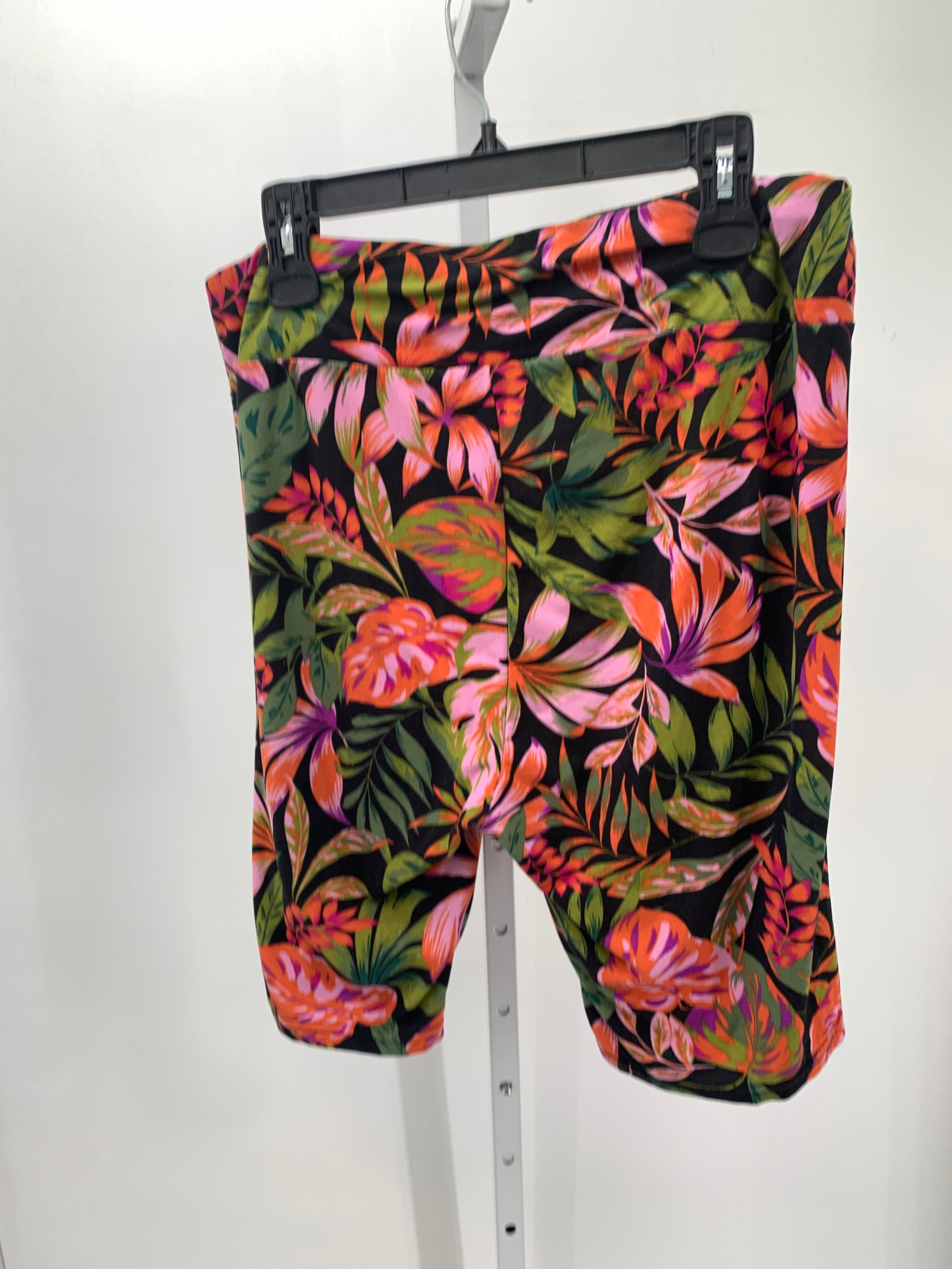 Terra & Sky Size 1 Misses Shorts