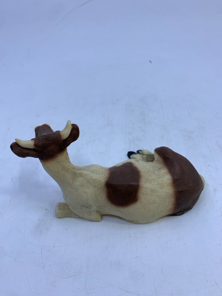 BROWN/WHITE COW LAYING.