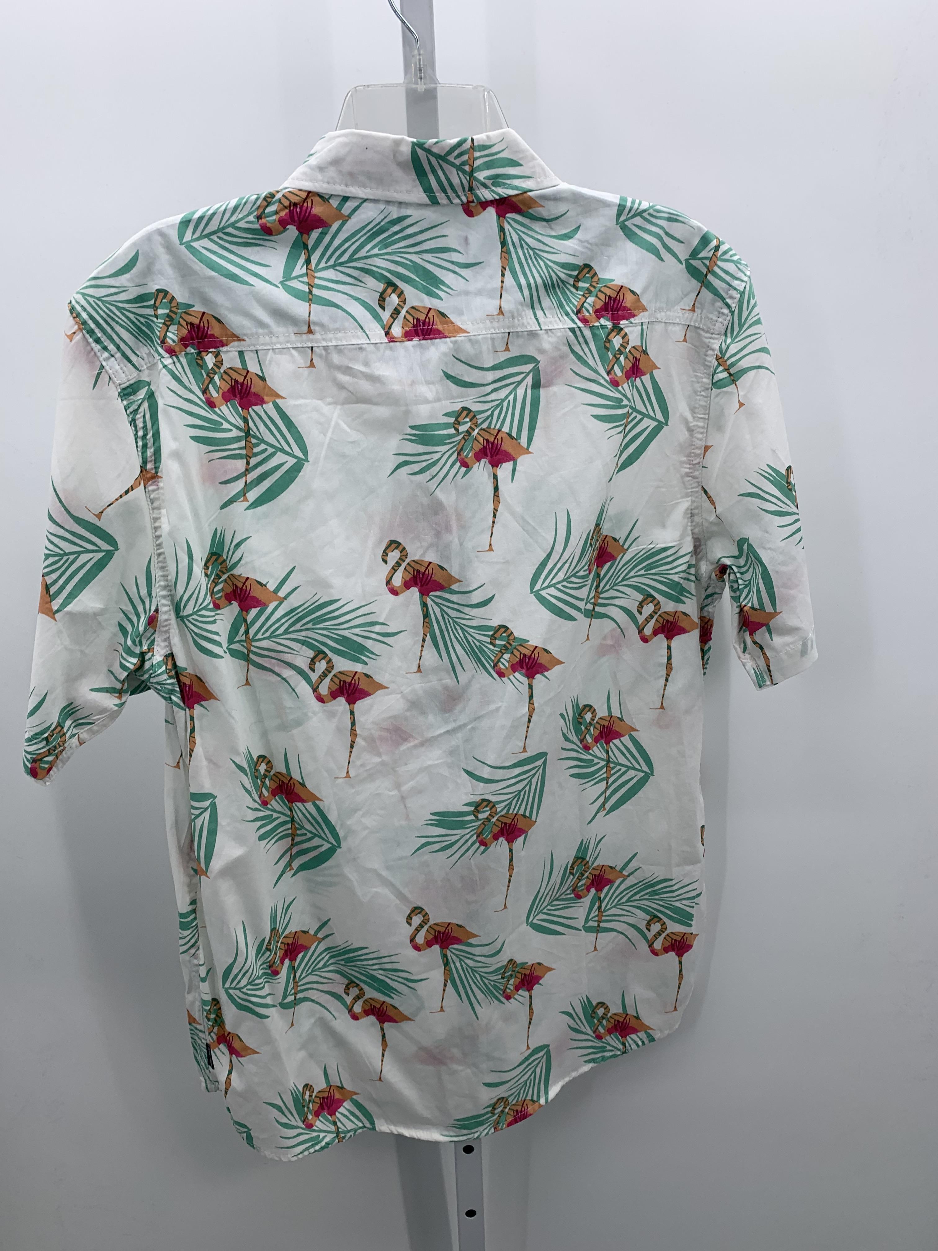 TROPICAL FLAMINGOS