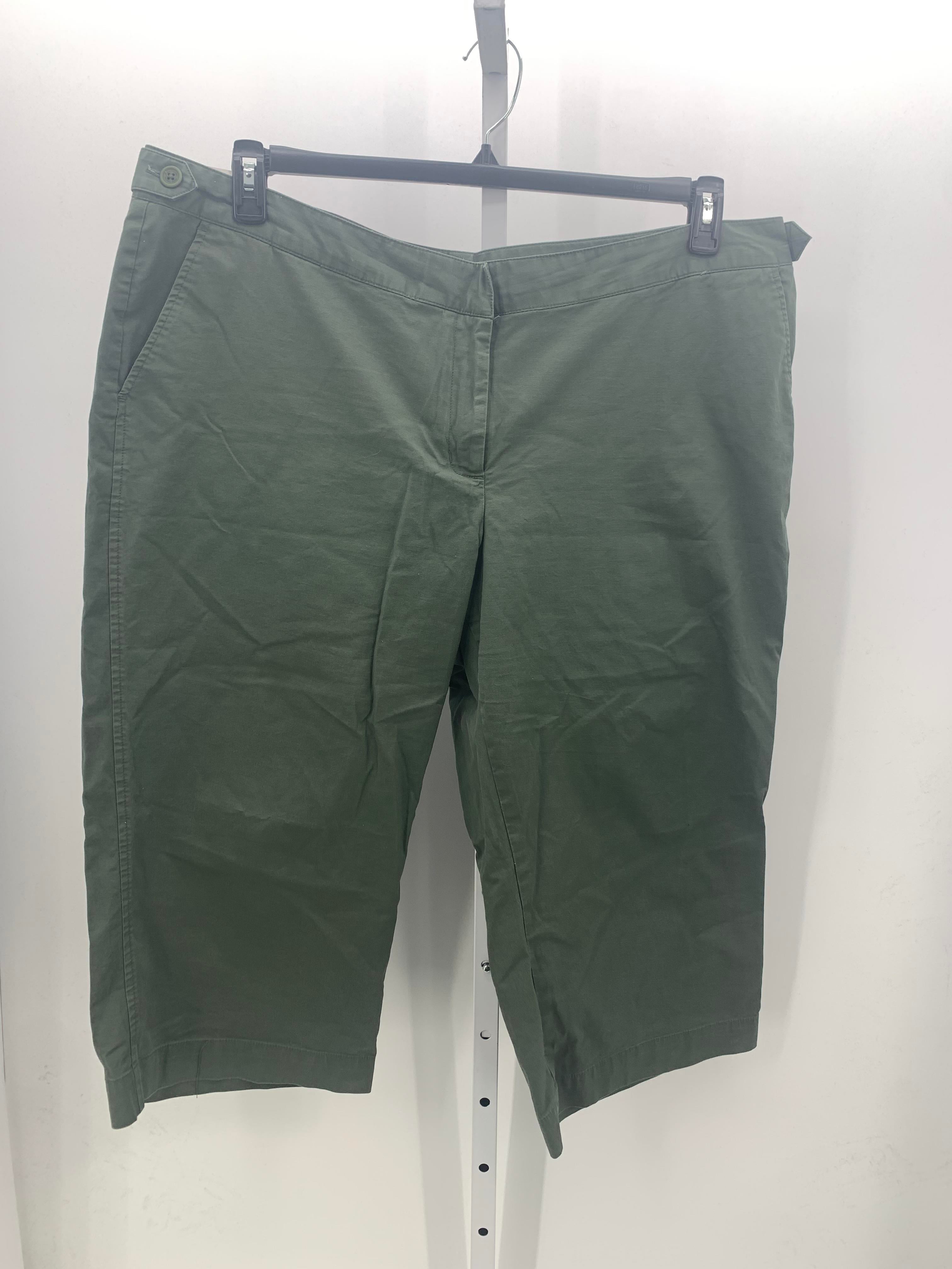 Daisy Fuentes Size 22 W Womens Capri Pants