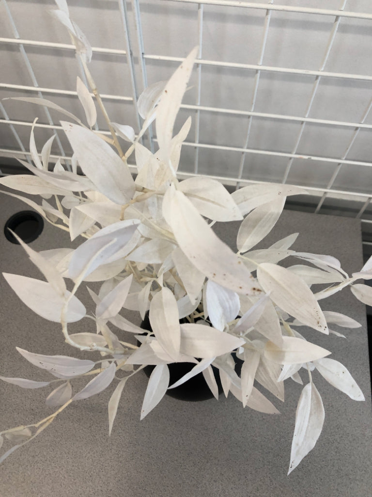 FAUX WHITE PLANT W/ROUND BLACK POT.